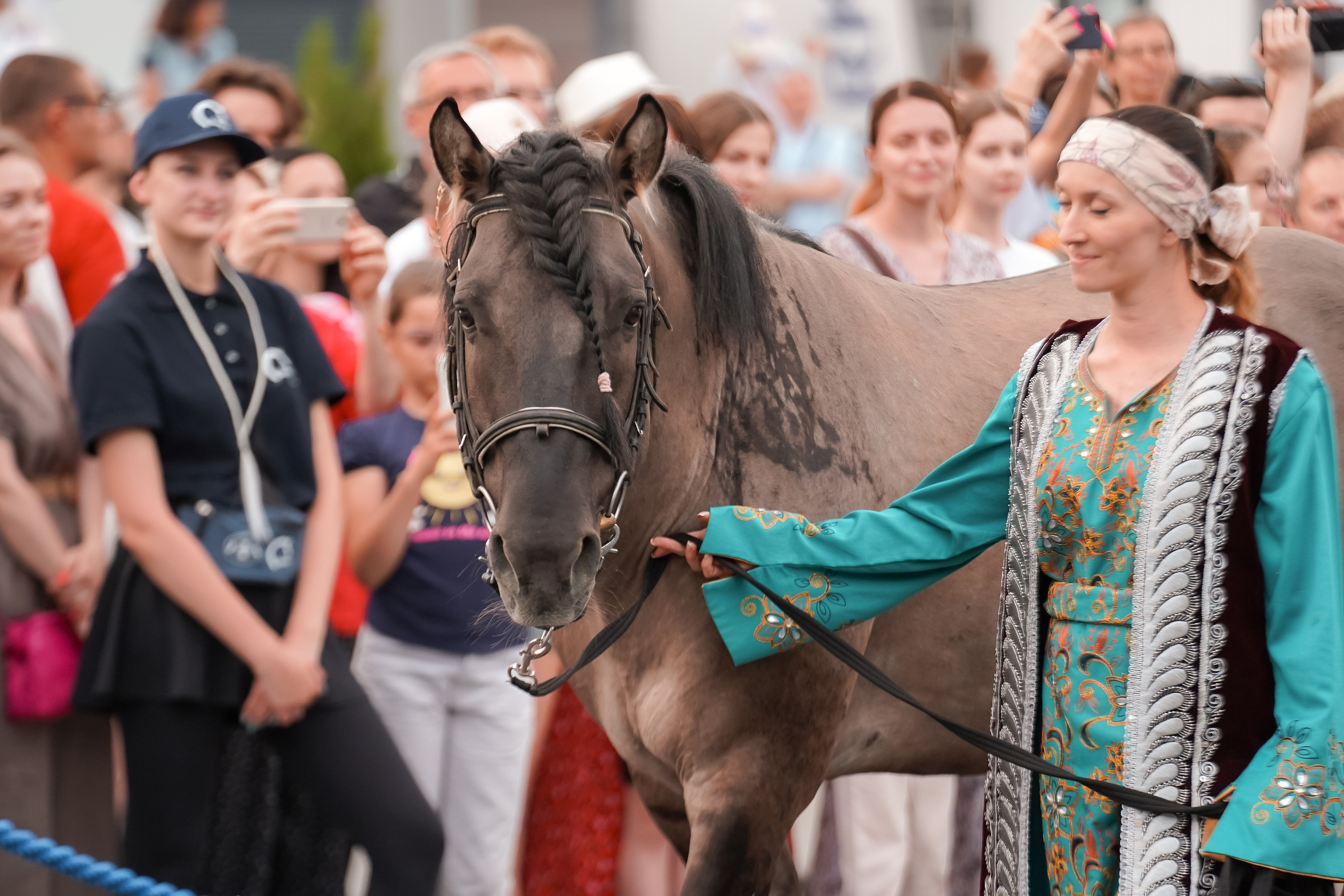 Фестиваль национальных пород лошадей в Парке Сокольники. Фотограф-анималист, портретный фотограф в Чебоксарах Мария Садыкова
