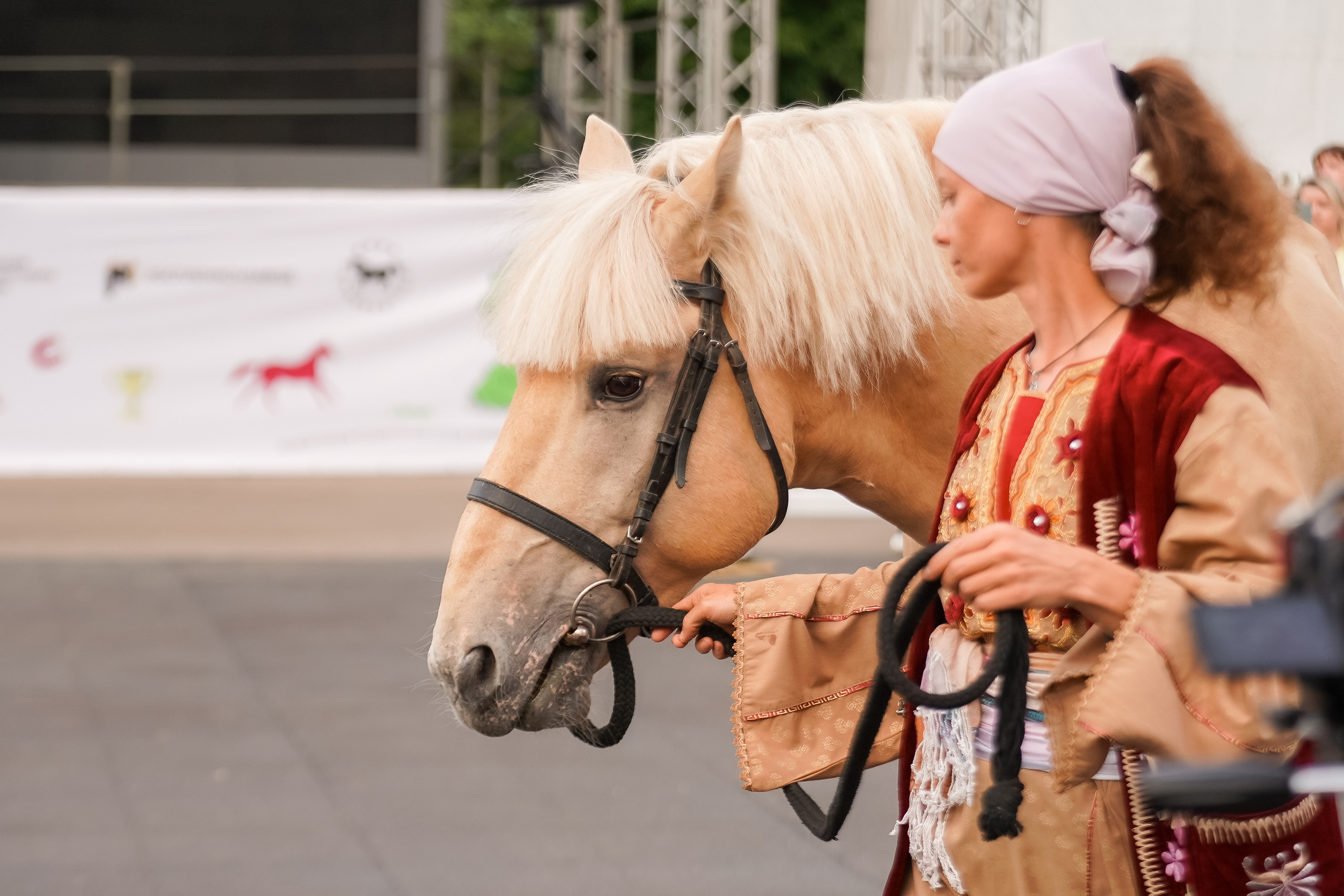 Фестиваль национальных пород лошадей в Парке Сокольники. Фотограф-анималист, портретный фотограф в Чебоксарах Мария Садыкова
