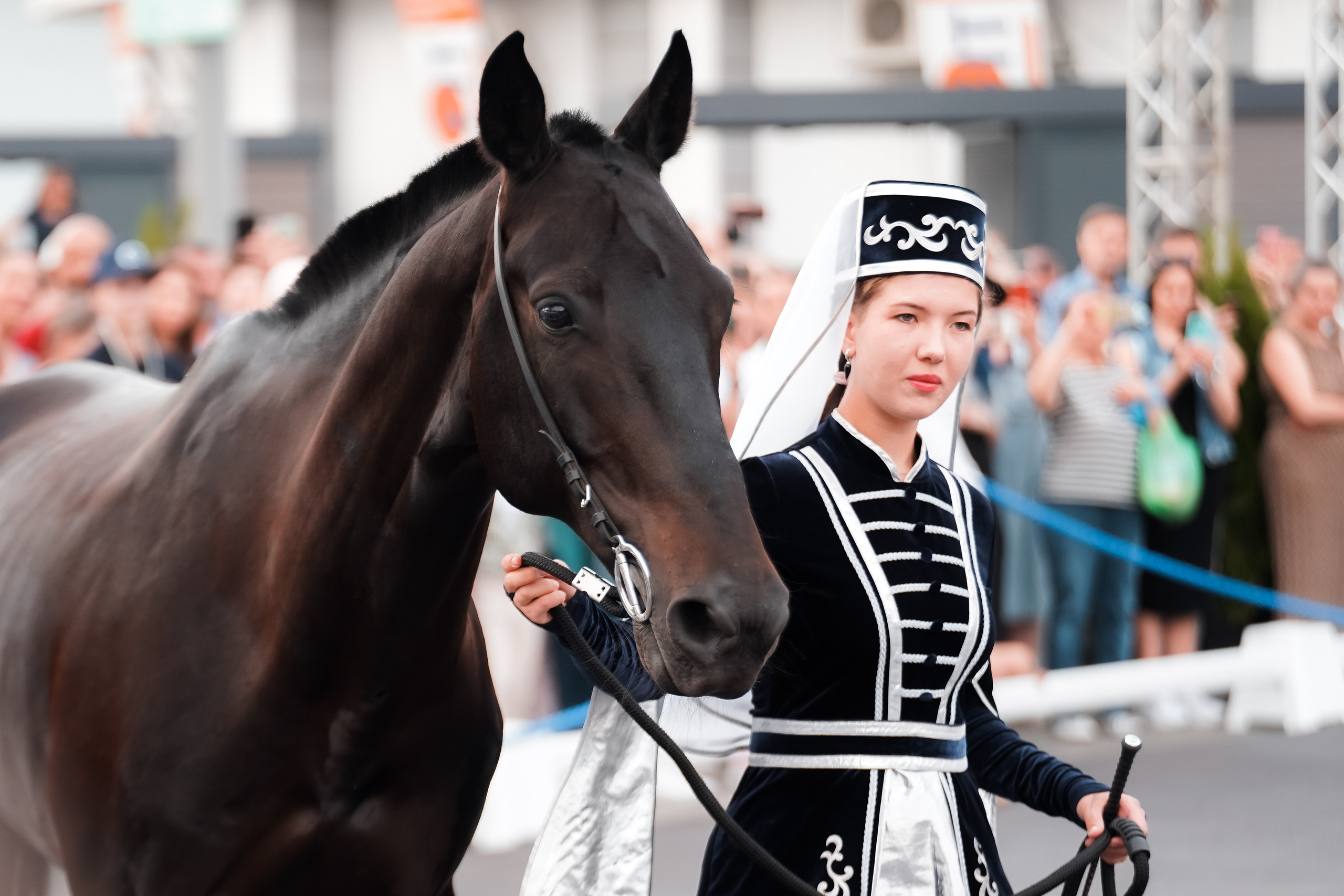 Фестиваль национальных пород лошадей в Парке Сокольники. Фотограф-анималист, портретный фотограф в Чебоксарах Мария Садыкова