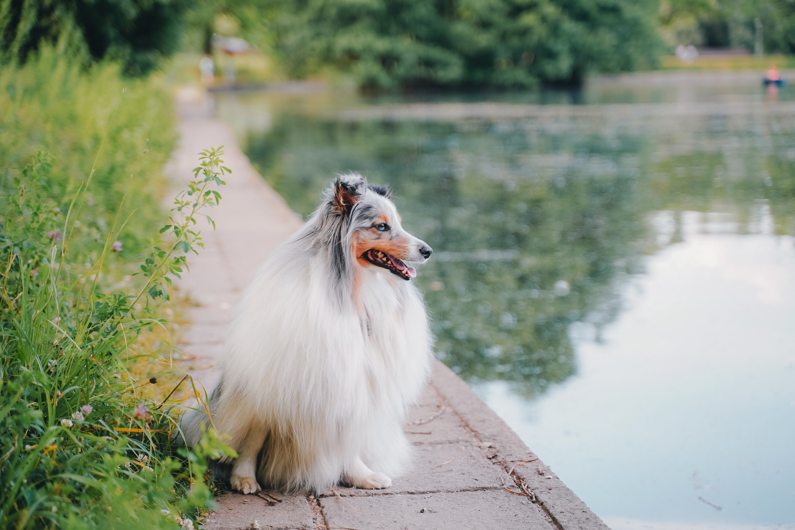 Итиль. Фотограф-анималист, портретный фотограф в Чебоксарах Мария Садыкова