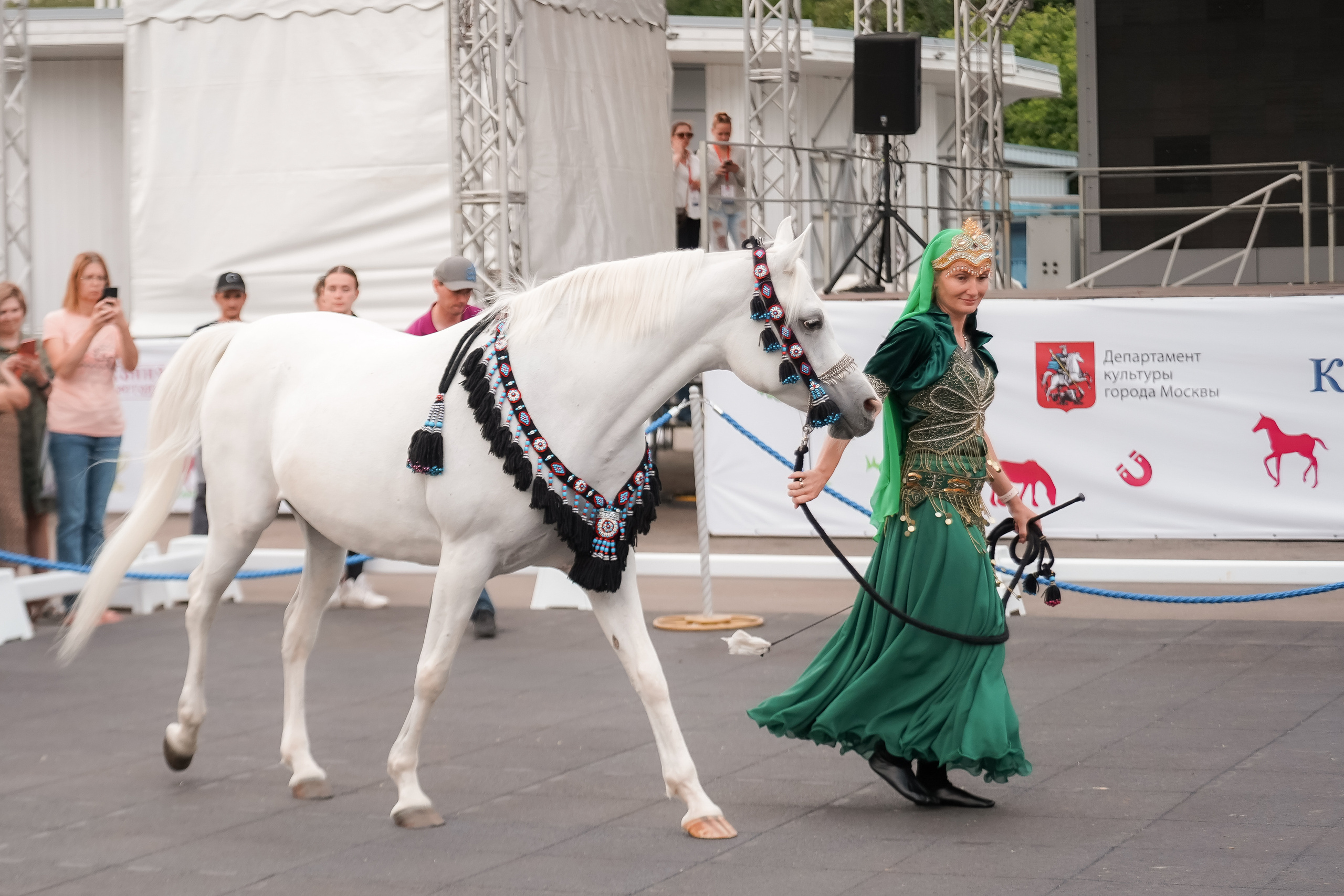 Фестиваль национальных пород лошадей в Парке Сокольники. Фотограф-анималист, портретный фотограф в Чебоксарах Мария Садыкова