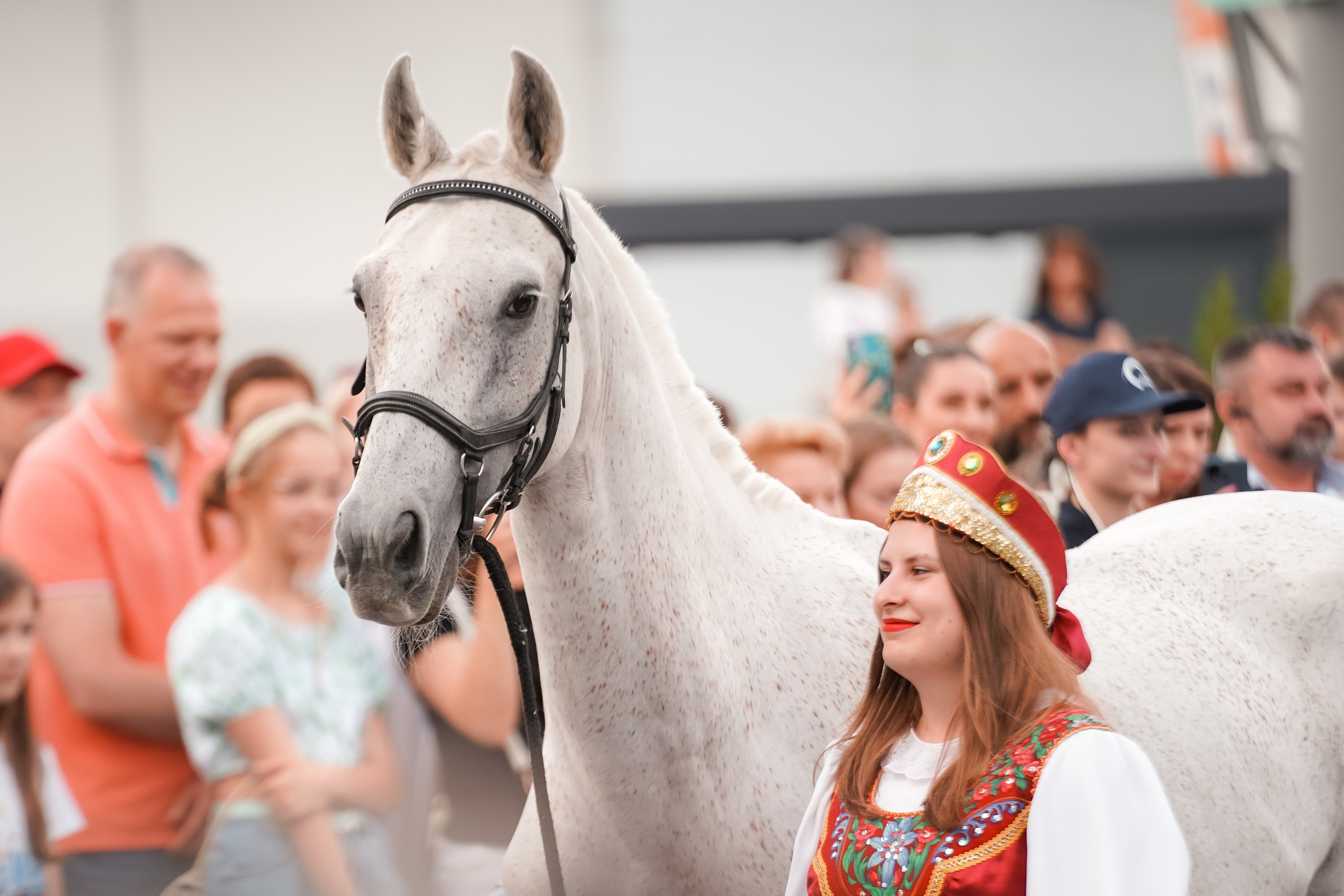 Фестиваль национальных пород лошадей в Парке Сокольники. Фотограф-анималист, портретный фотограф в Чебоксарах Мария Садыкова