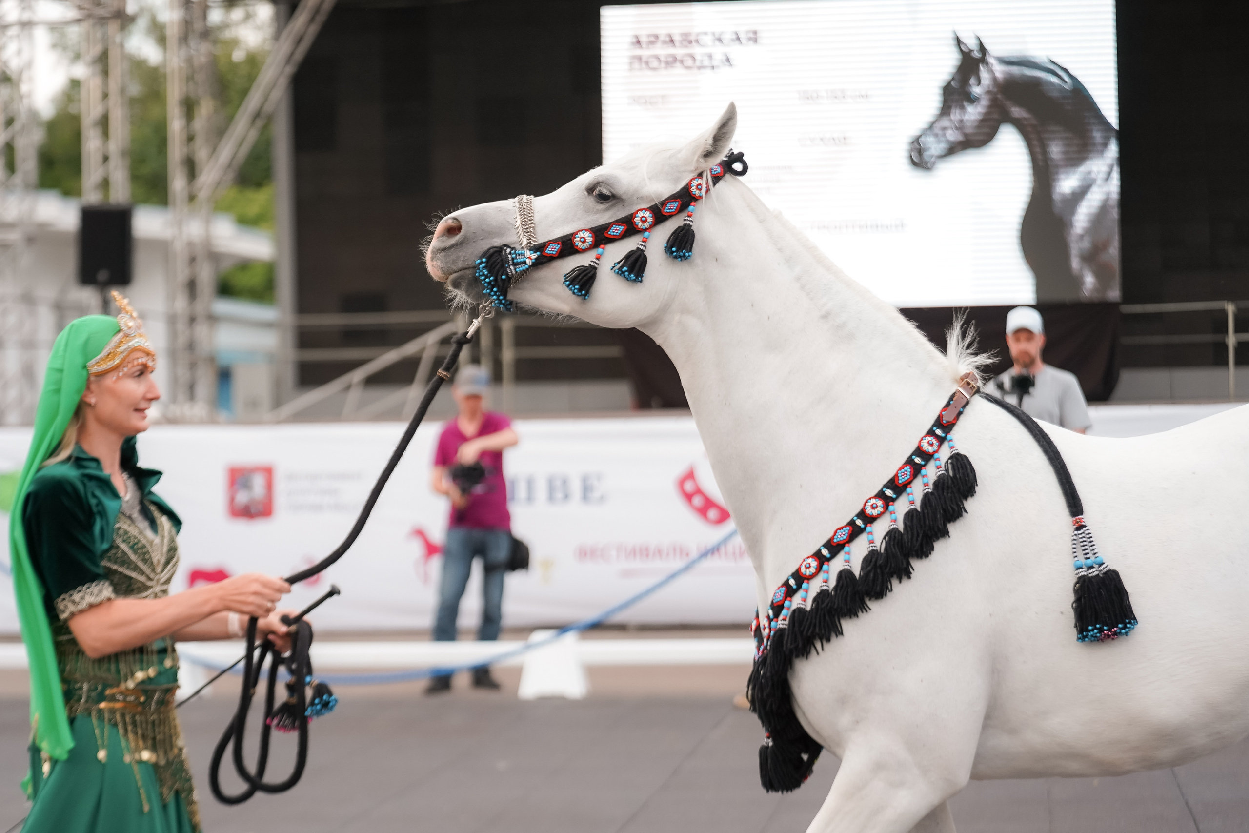 Фестиваль национальных пород лошадей в Парке Сокольники. Фотограф-анималист, портретный фотограф в Чебоксарах Мария Садыкова