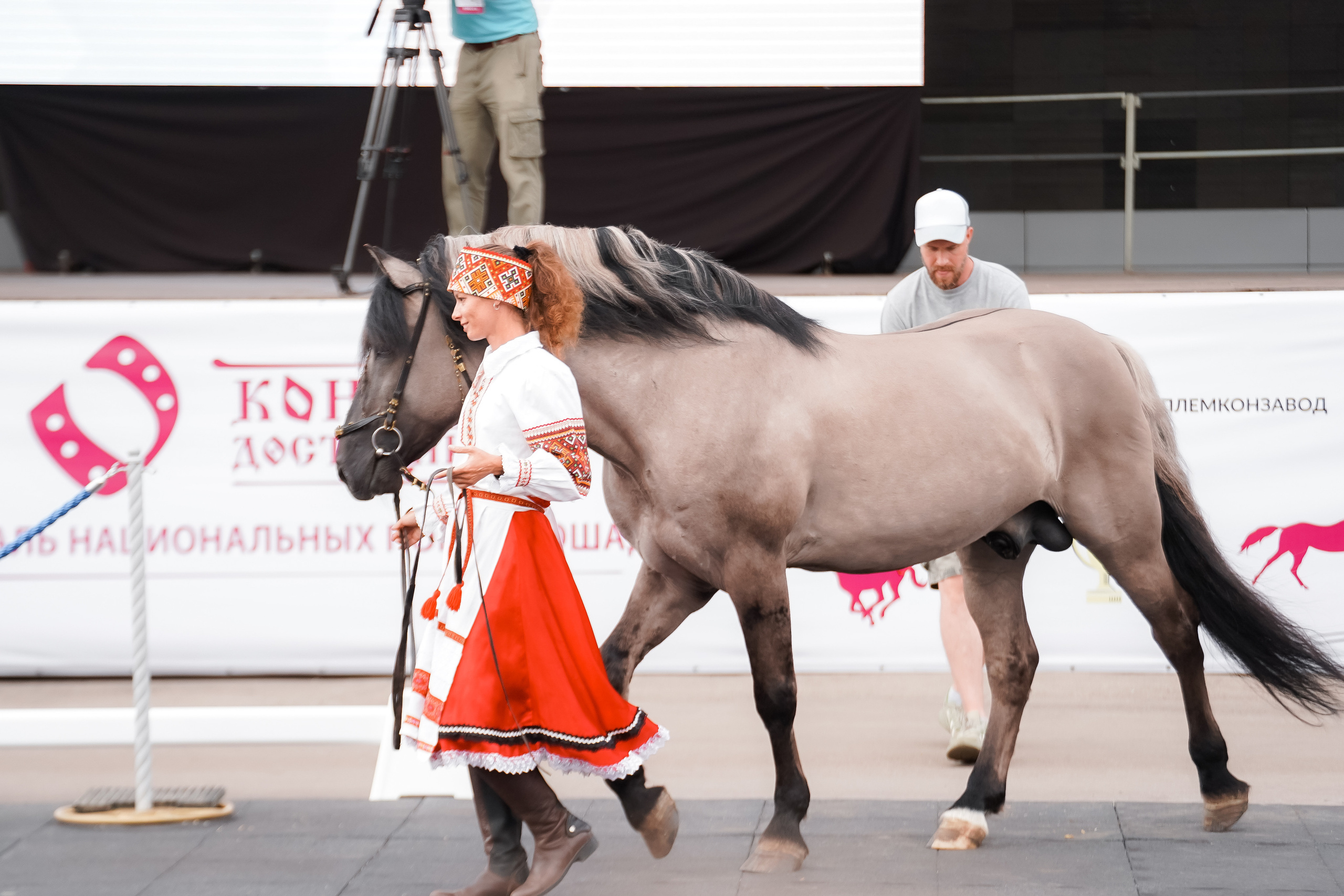 Фестиваль национальных пород лошадей в Парке Сокольники. Фотограф-анималист, портретный фотограф в Чебоксарах Мария Садыкова