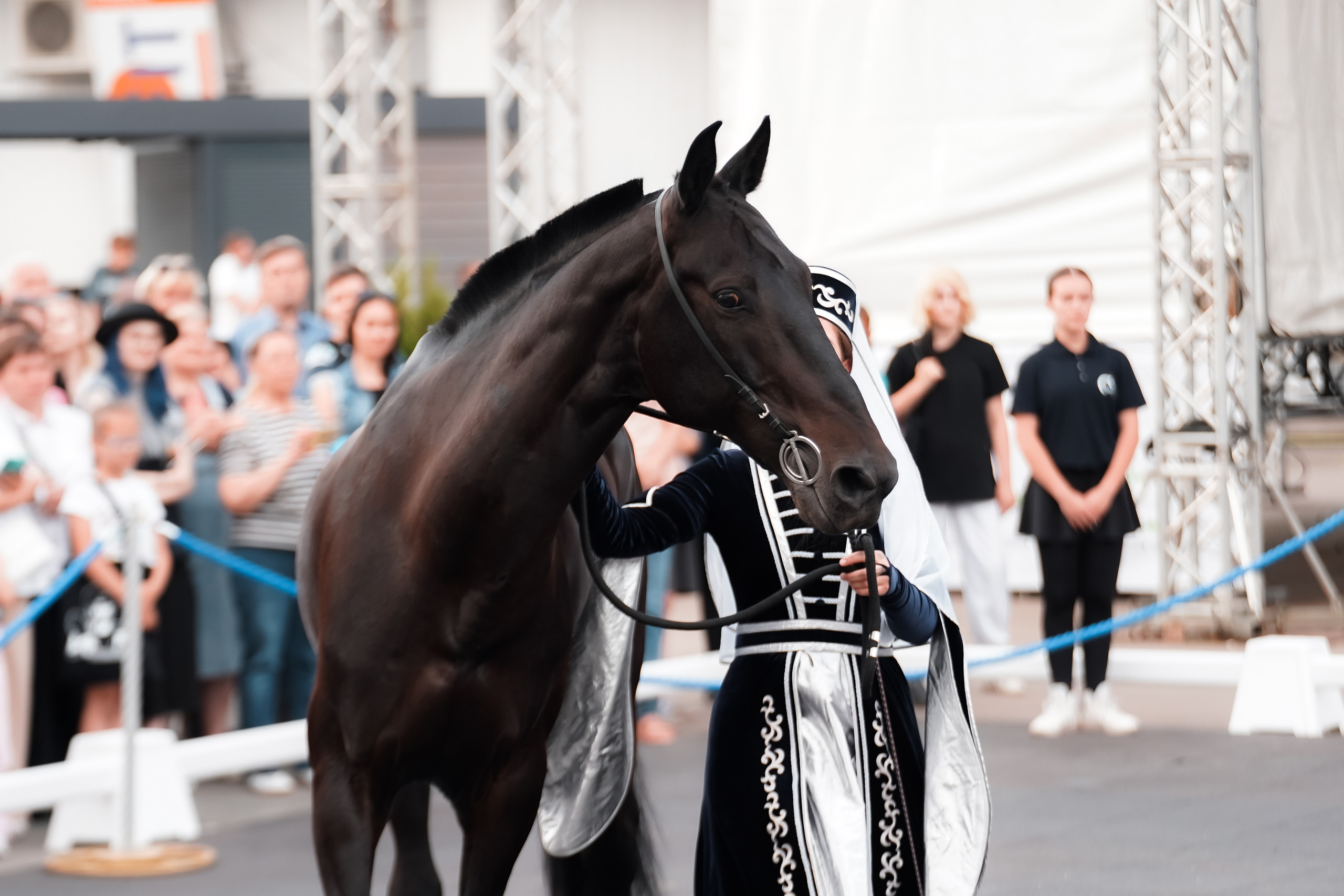 Фестиваль национальных пород лошадей в Парке Сокольники. Фотограф-анималист, портретный фотограф в Чебоксарах Мария Садыкова
