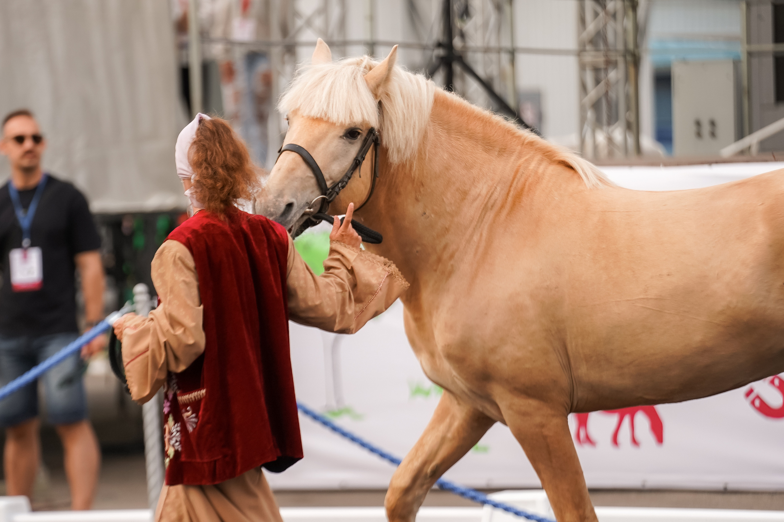 Фестиваль национальных пород лошадей в Парке Сокольники. Фотограф-анималист, портретный фотограф в Чебоксарах Мария Садыкова