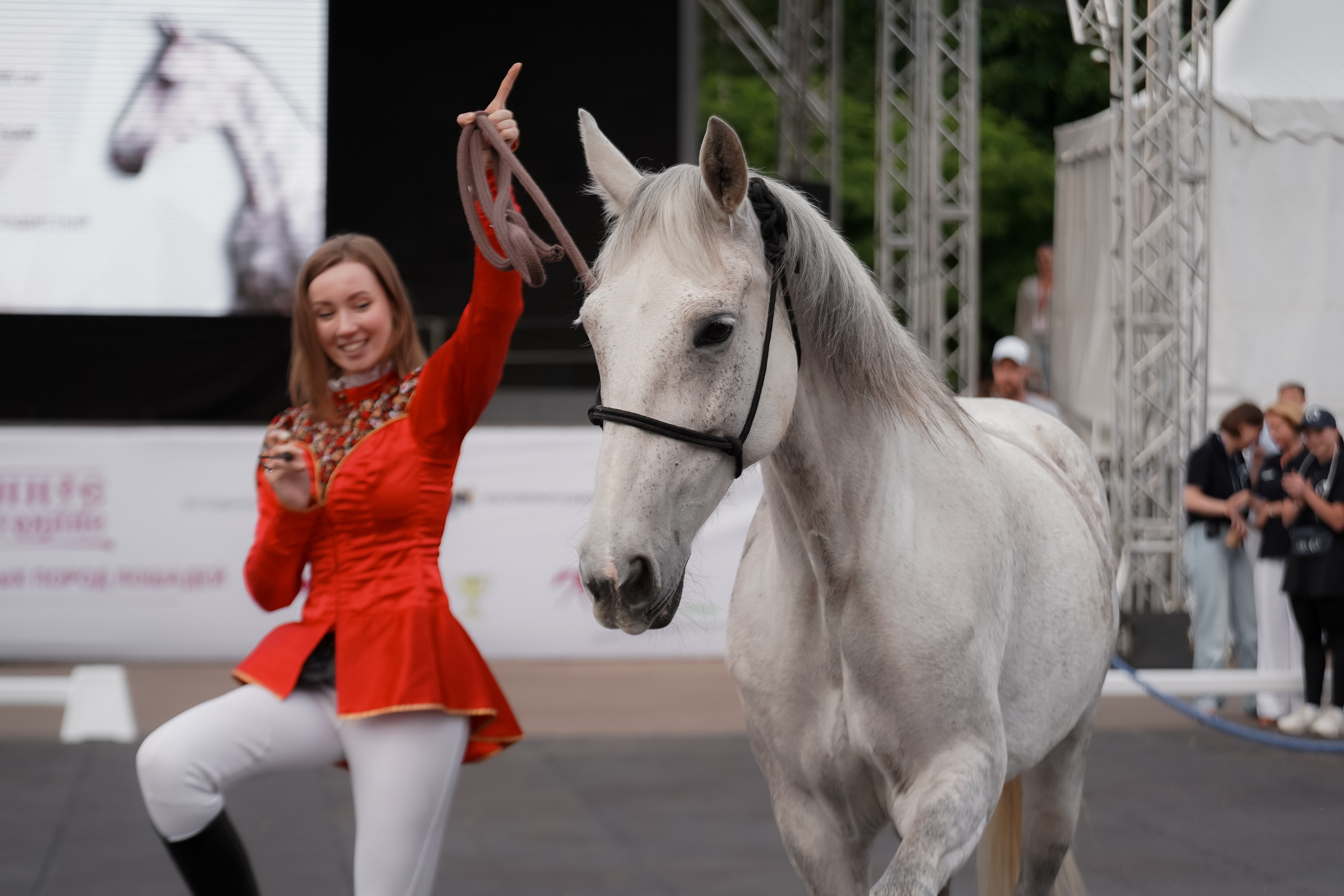 Фестиваль национальных пород лошадей в Парке Сокольники. Фотограф-анималист, портретный фотограф в Чебоксарах Мария Садыкова