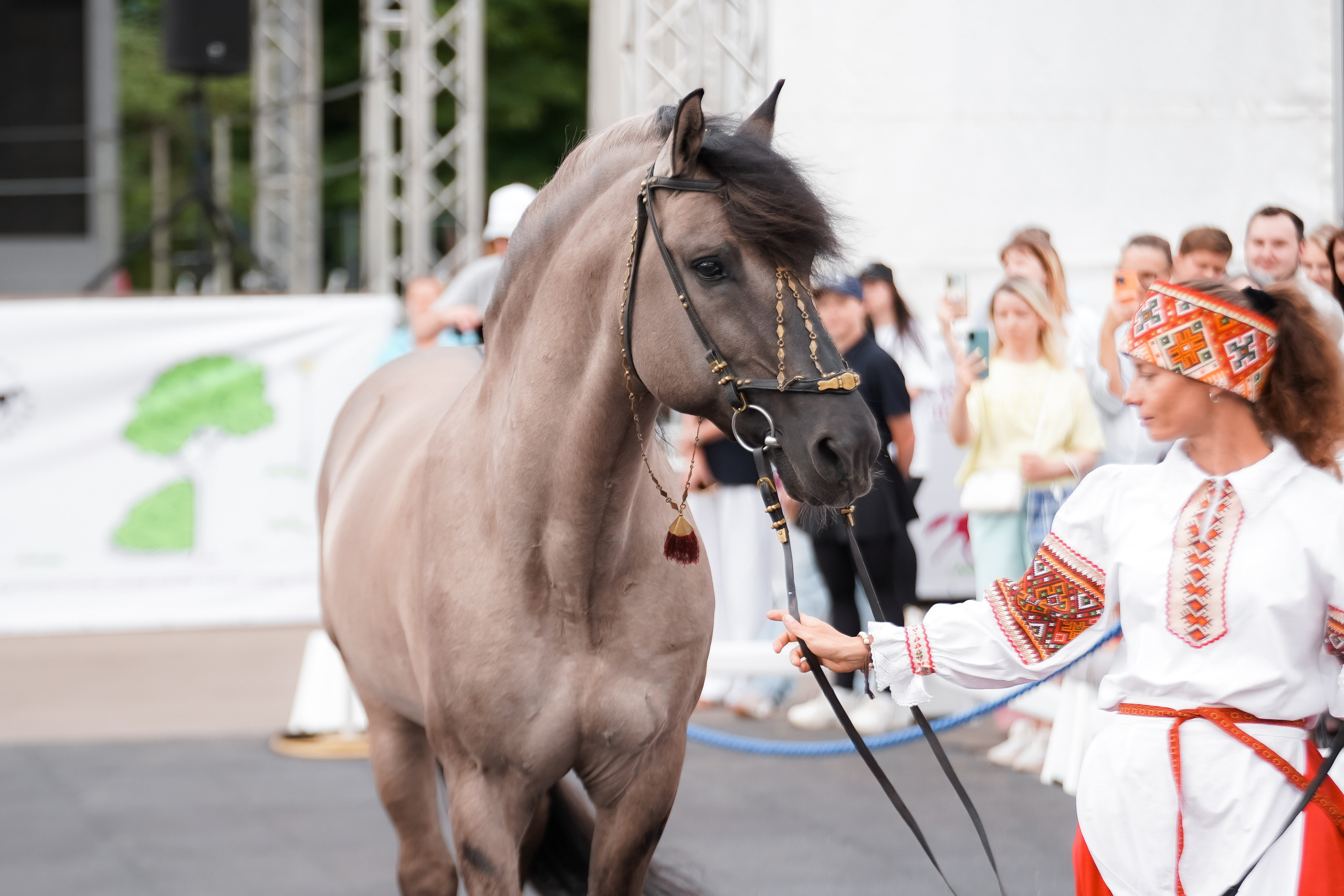 Фестиваль национальных пород лошадей в Парке Сокольники. Фотограф-анималист, портретный фотограф в Чебоксарах Мария Садыкова