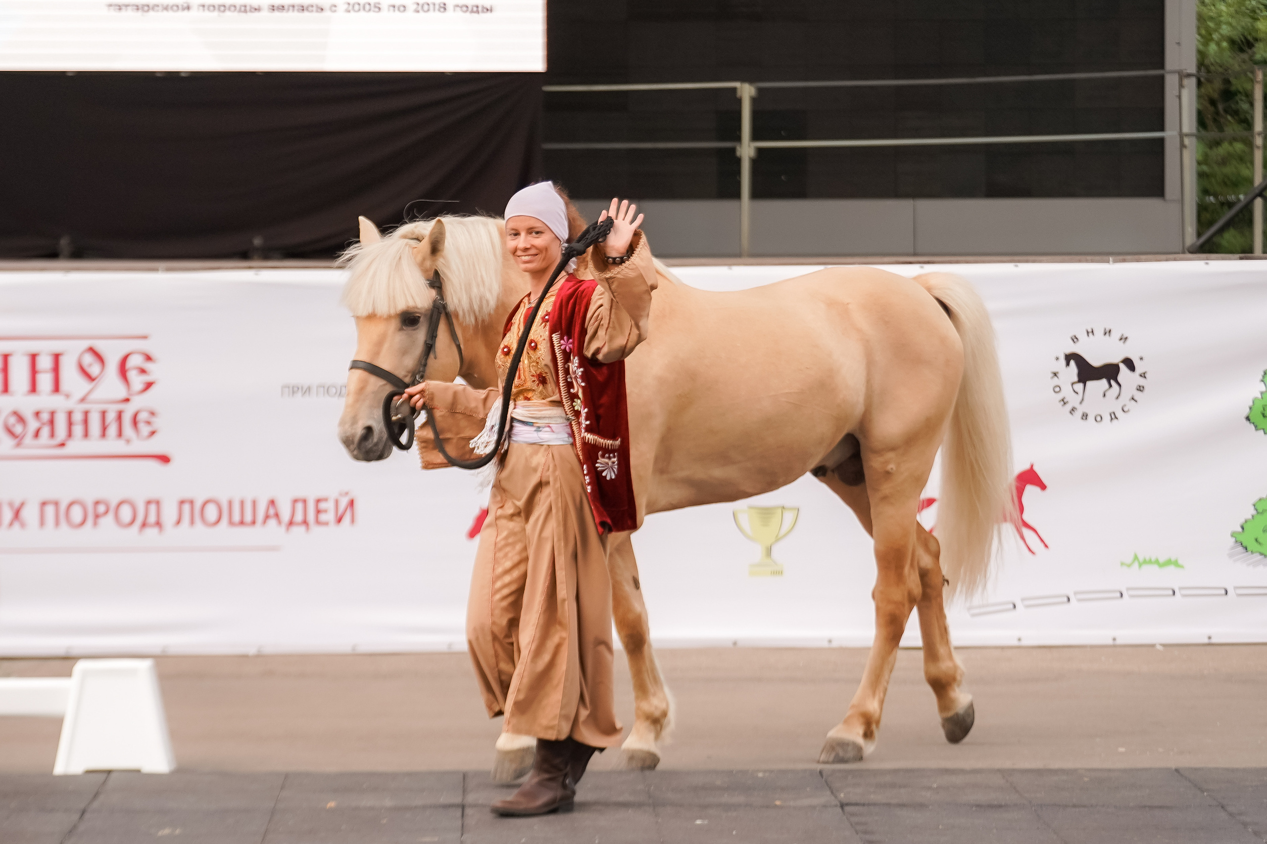 Фестиваль национальных пород лошадей в Парке Сокольники. Фотограф-анималист, портретный фотограф в Чебоксарах Мария Садыкова