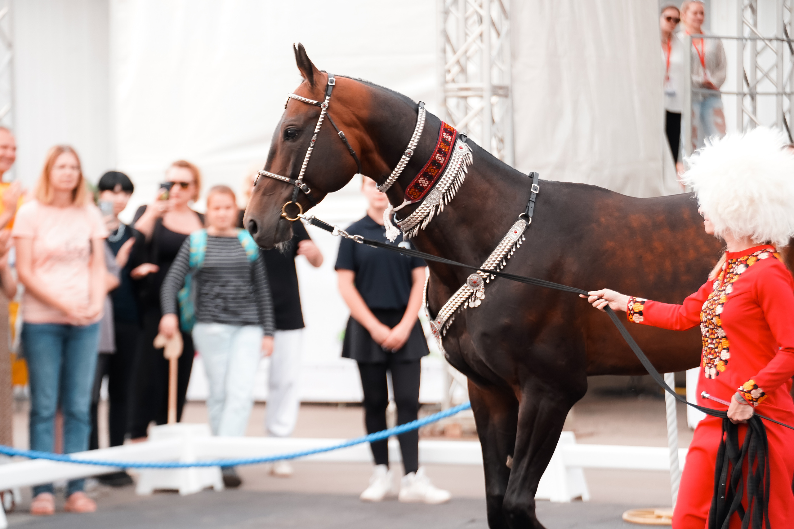 Фестиваль национальных пород лошадей в Парке Сокольники. Фотограф-анималист, портретный фотограф в Чебоксарах Мария Садыкова