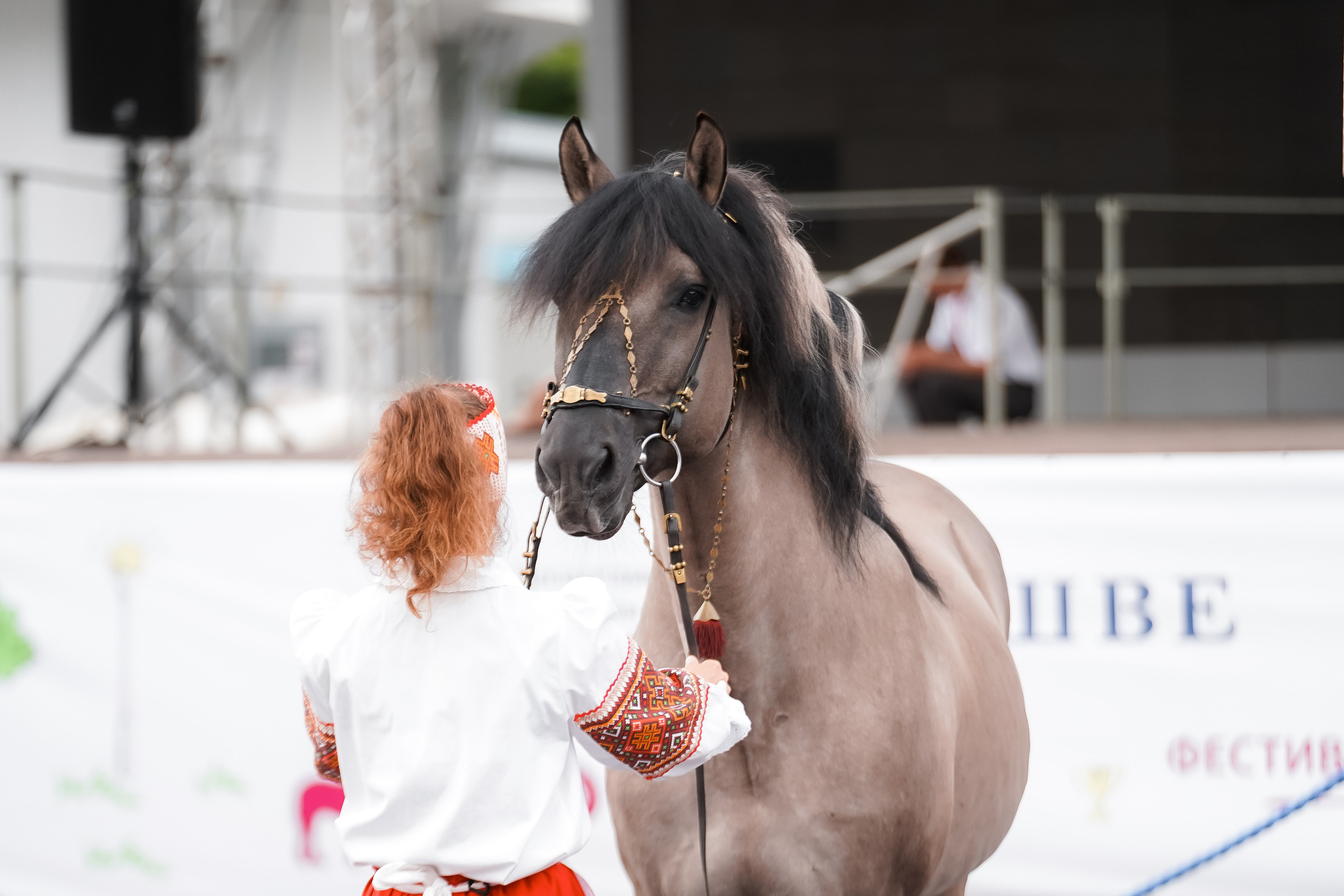 Фестиваль национальных пород лошадей в Парке Сокольники. Фотограф-анималист, портретный фотограф в Чебоксарах Мария Садыкова