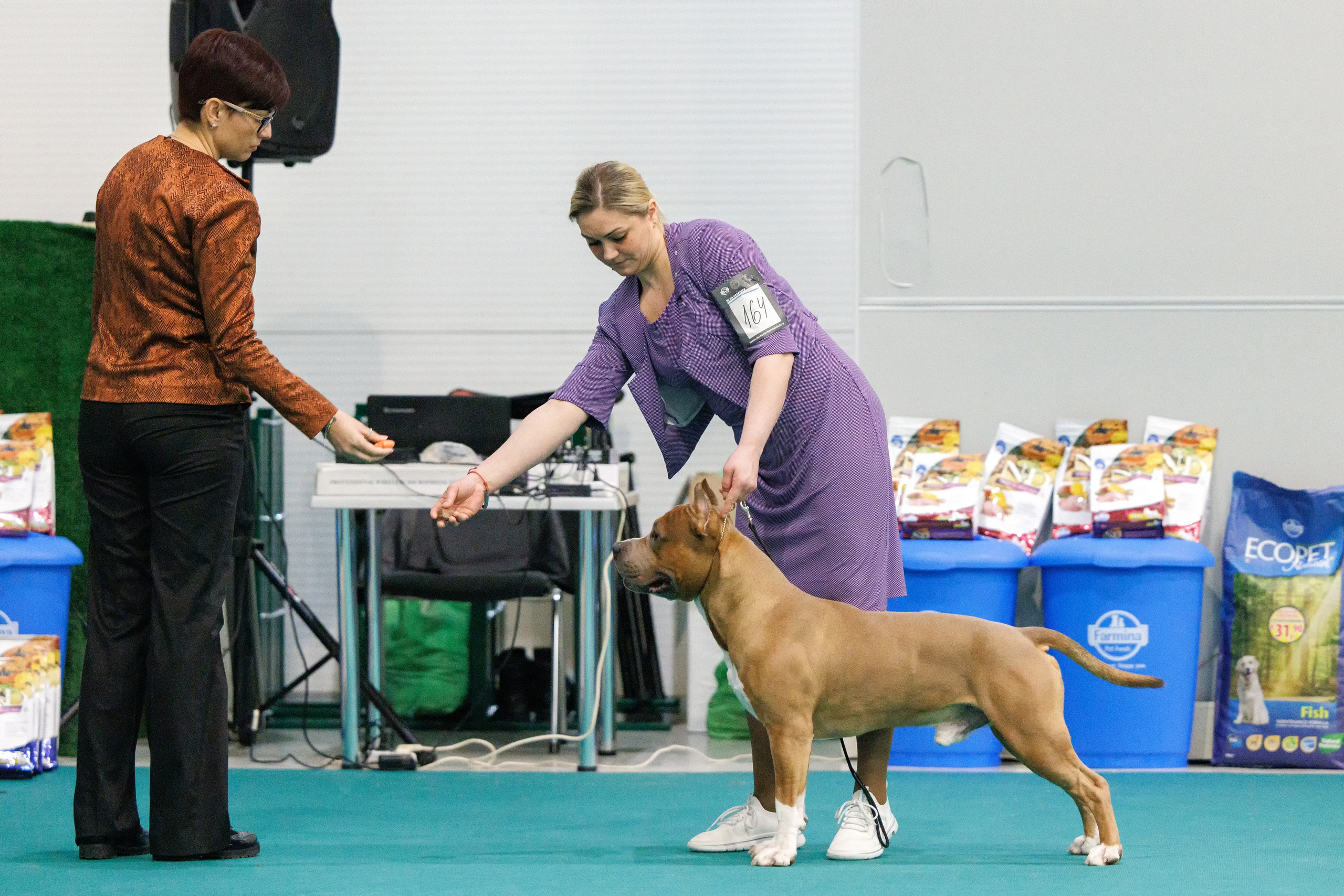 Крокус 10.02,Сфера 11.02.2024. Фотограф-анималист Юлия Германика