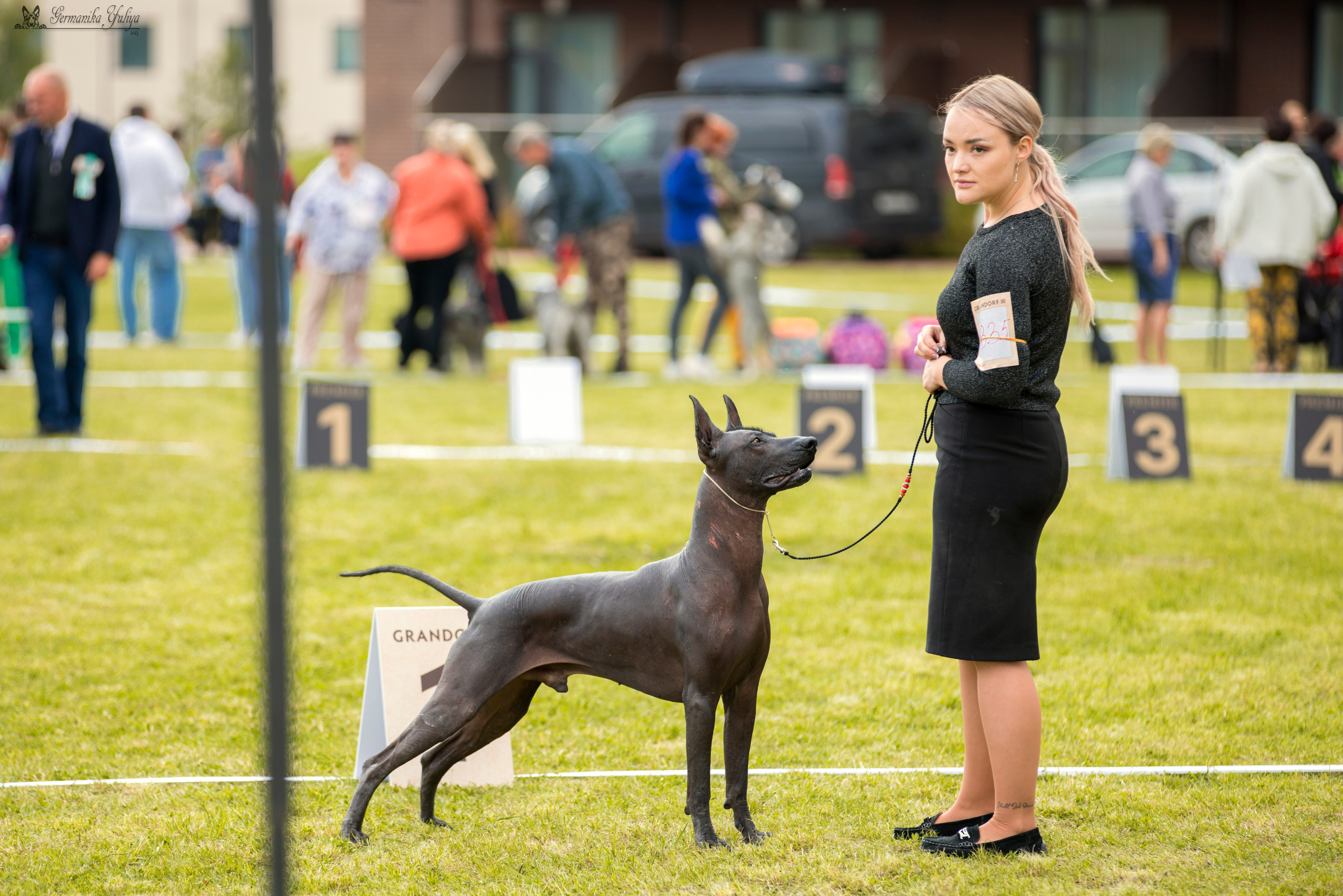 Переславль 9-10.09.2023. Фотограф-анималист Юлия Германика