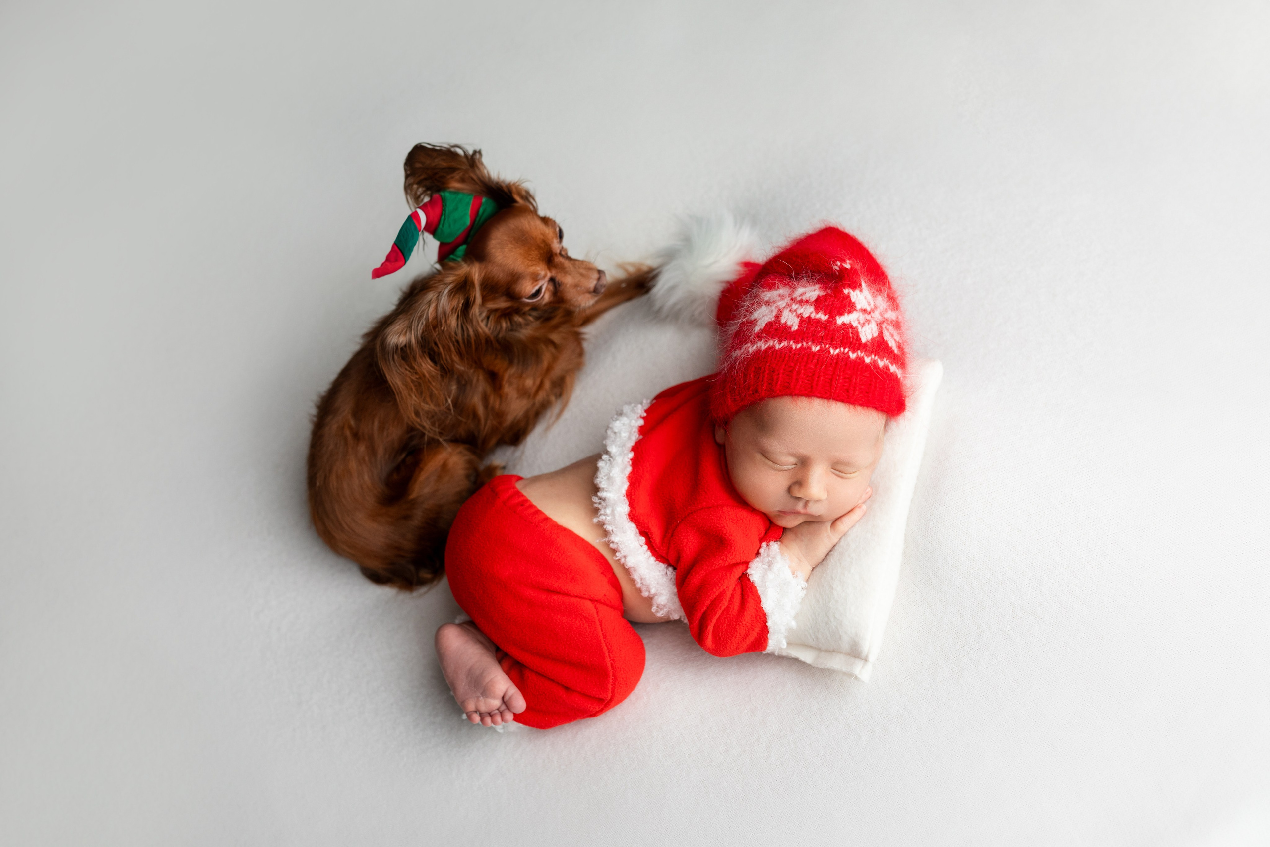 Фотограф новорождённых Псков