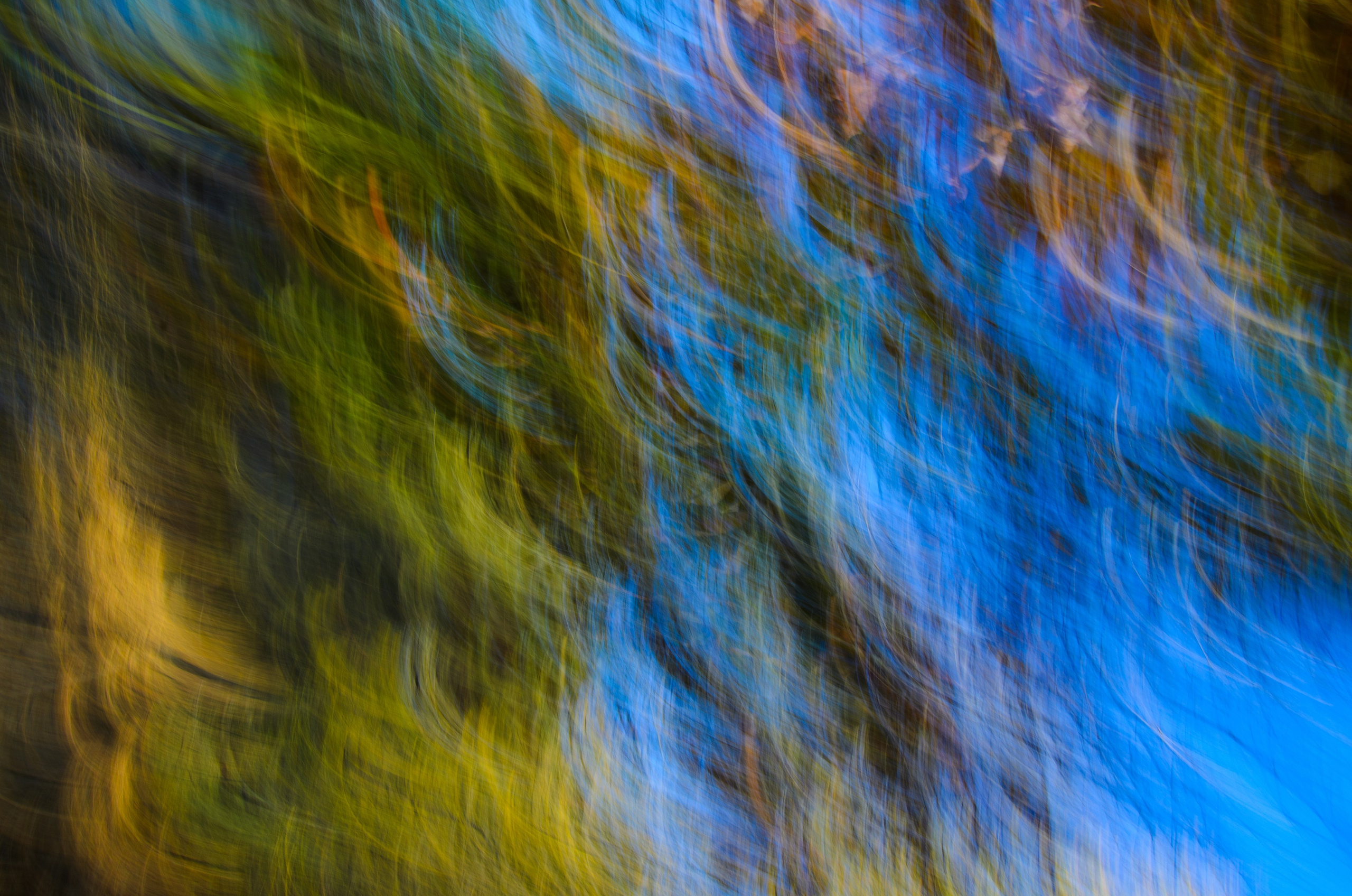 art, artist, photo, photography, photographer, contemporary art, talent, picture, pop art, gallery, фотограф, фотография, творчество, художник, рекламная съемка, творческая съемка, современное искусство, соврисск, совриск, современная фотография, творческая фотография, картины, попарт, поп арт, фото проекты, photo project, bag, сумка, cover song, обложка для музыкального альбома, обложка для книги, постер, картина