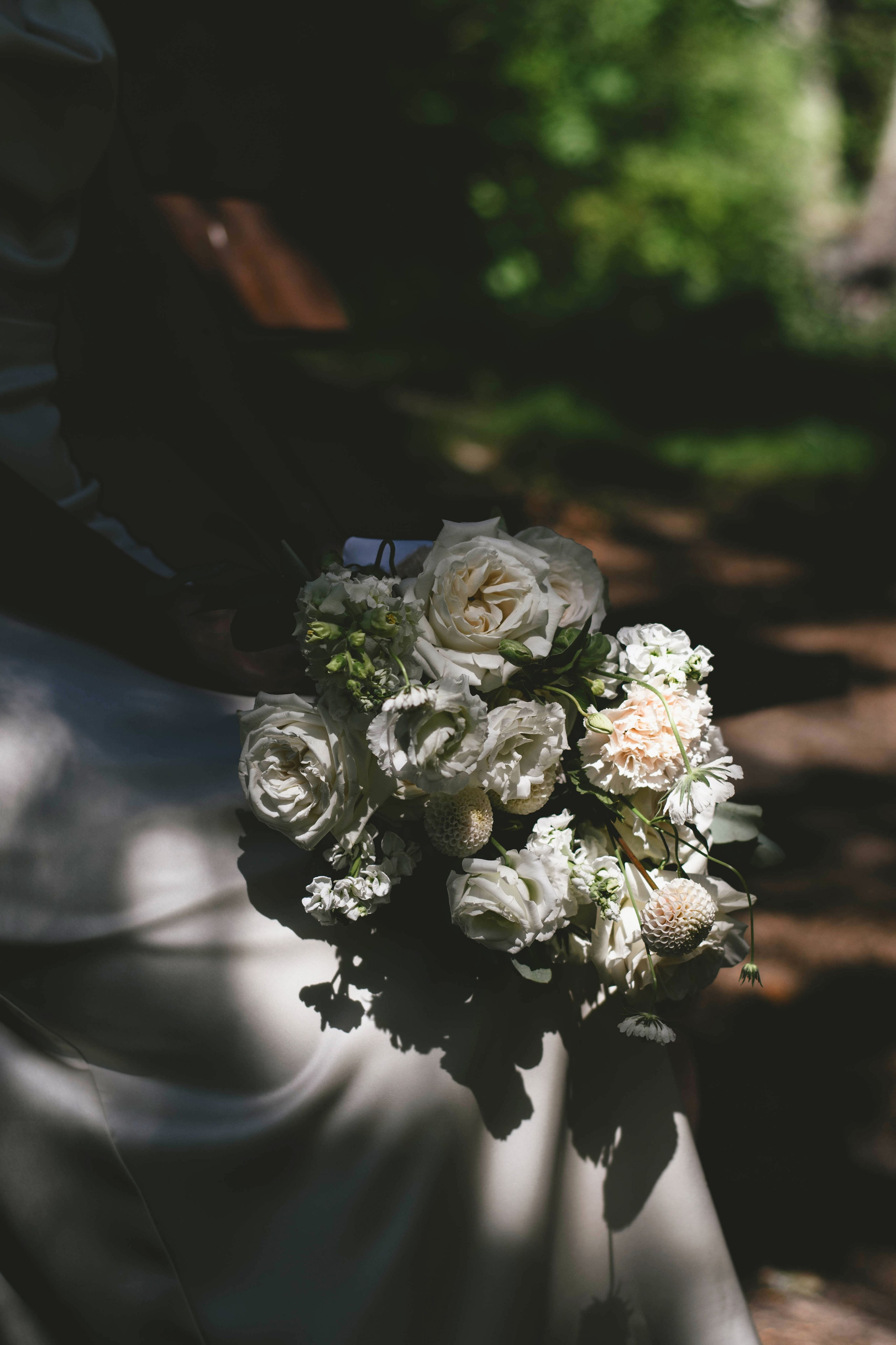 Миша и Аня. Фотограф Барнаул — NAVI / НАВИ