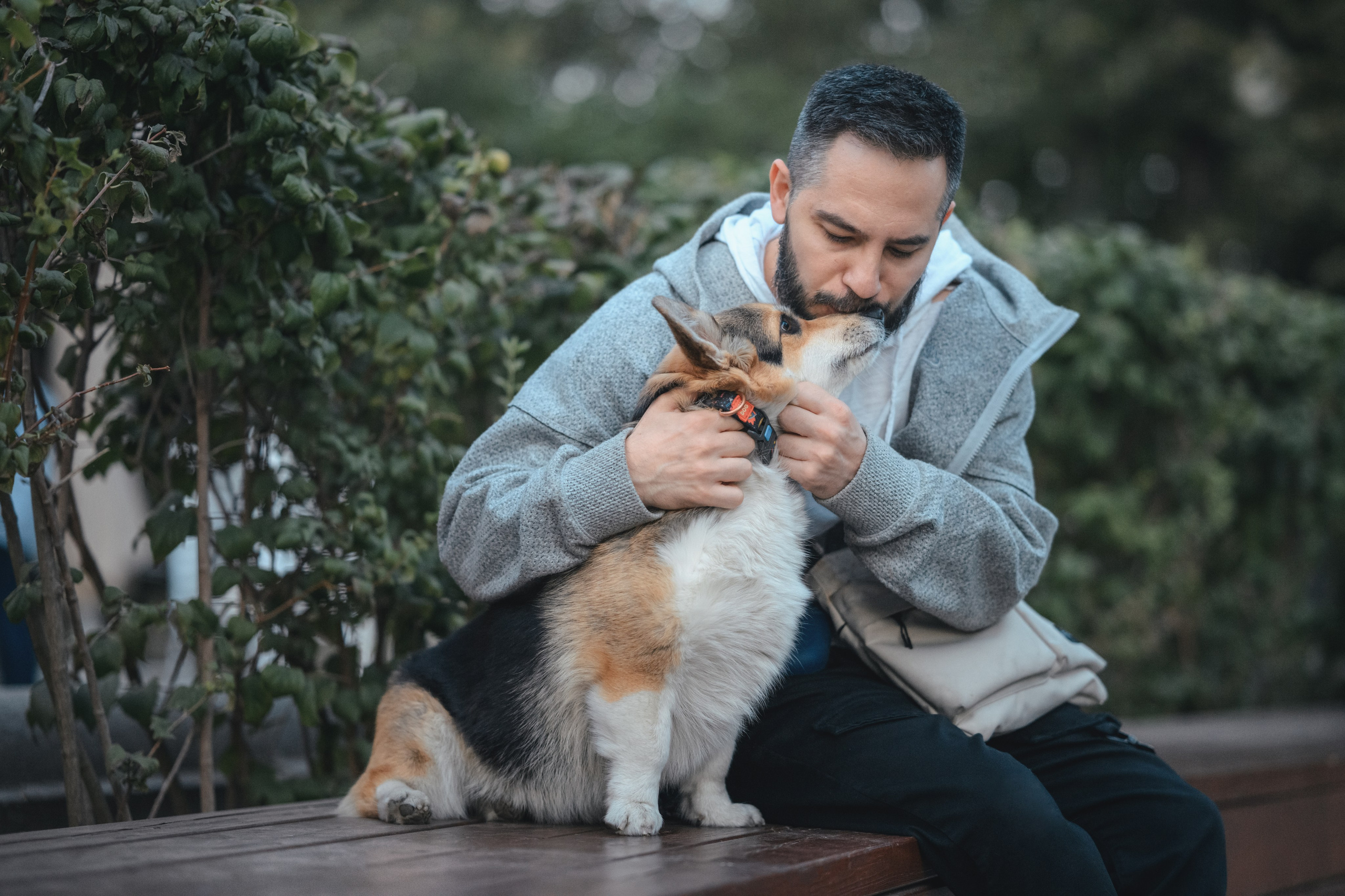 Ева, Леша и Лаванда. Фотограф Анималист в Москве Анастасия Жучкова