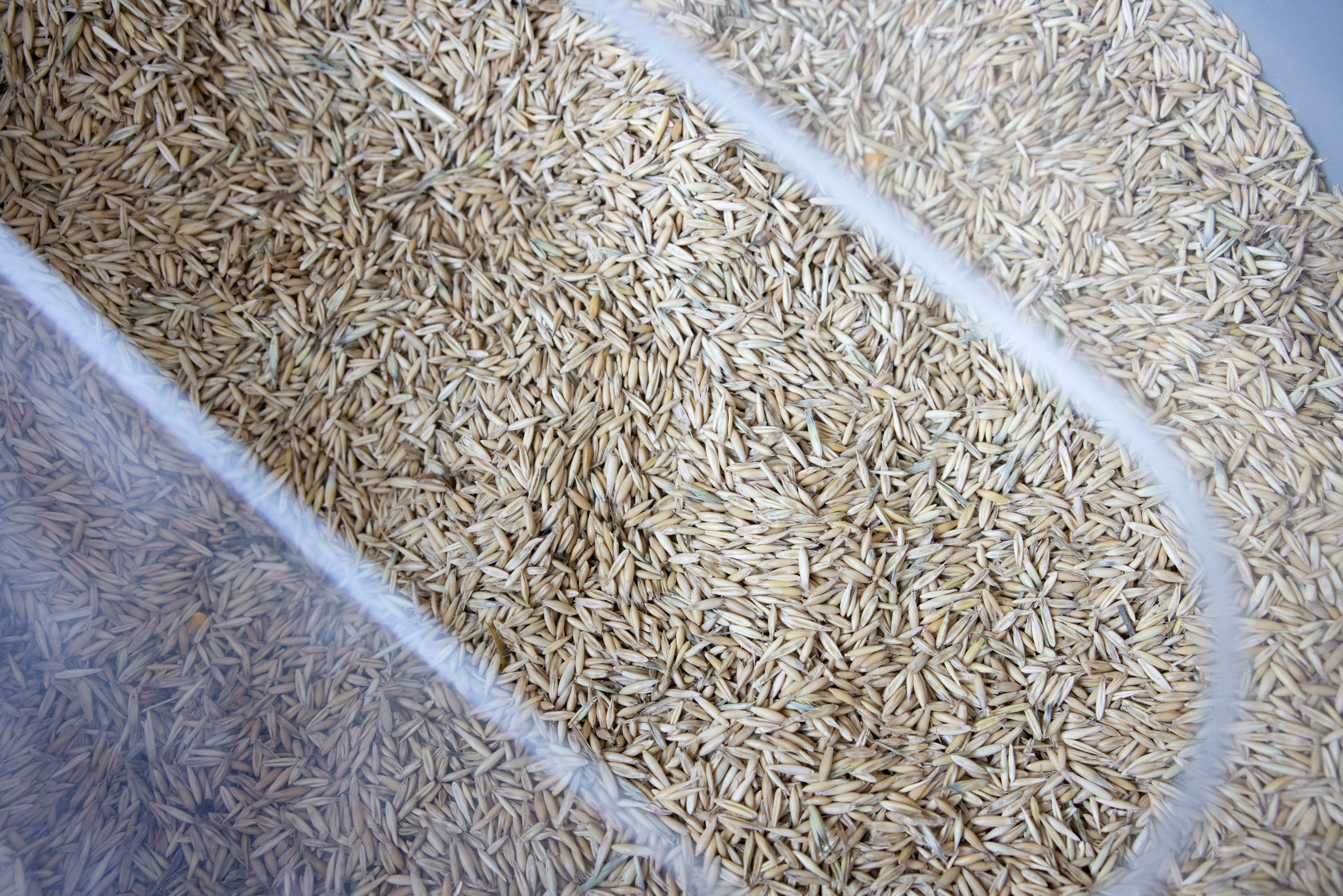 Поездка на поле Кулеково. Фотограф в Туле Крупский АнДРей. Фотостудия «КАДР71» в Туле