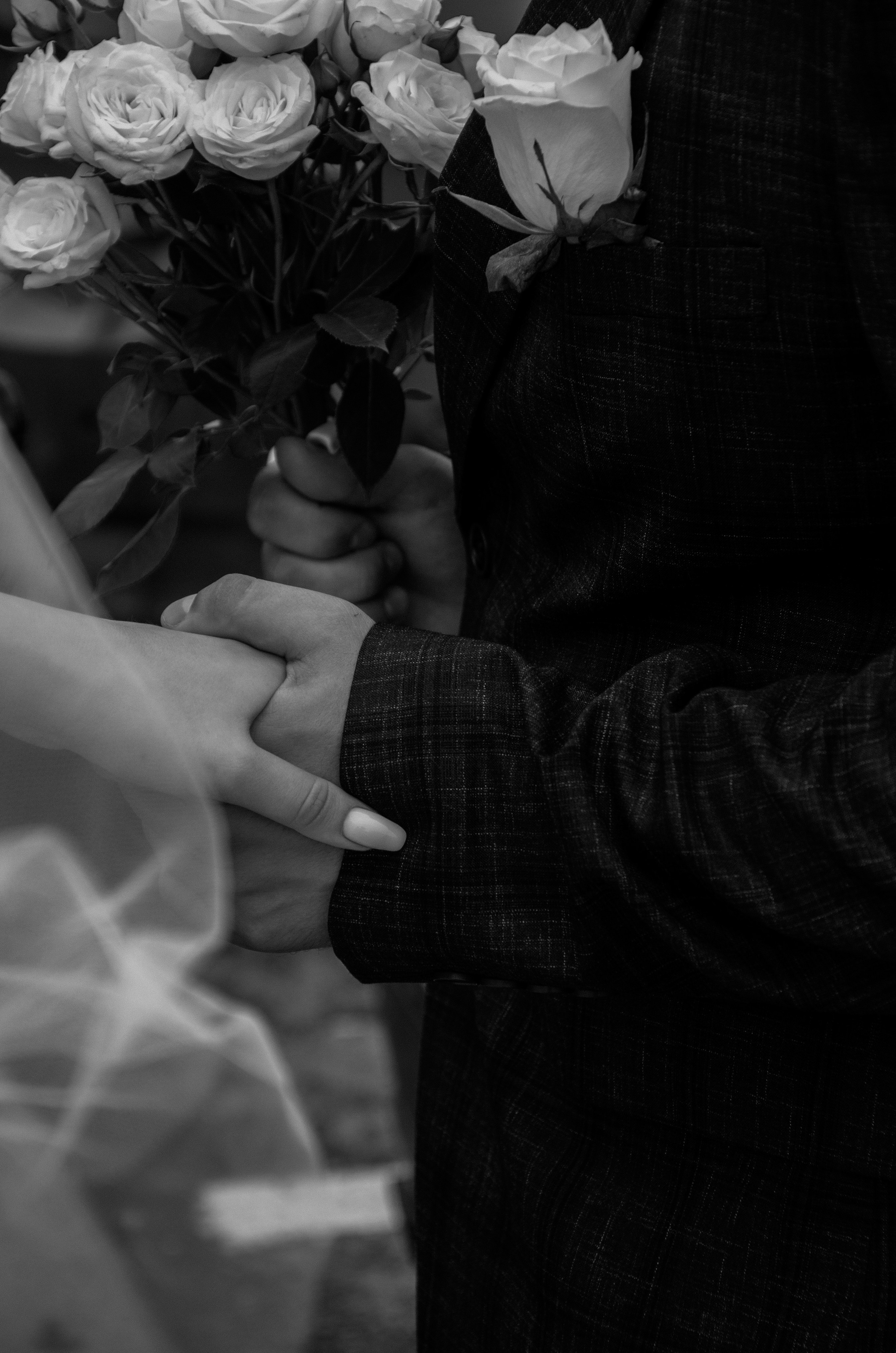 Свадебный фотограф в Волгограде и Краснодаре