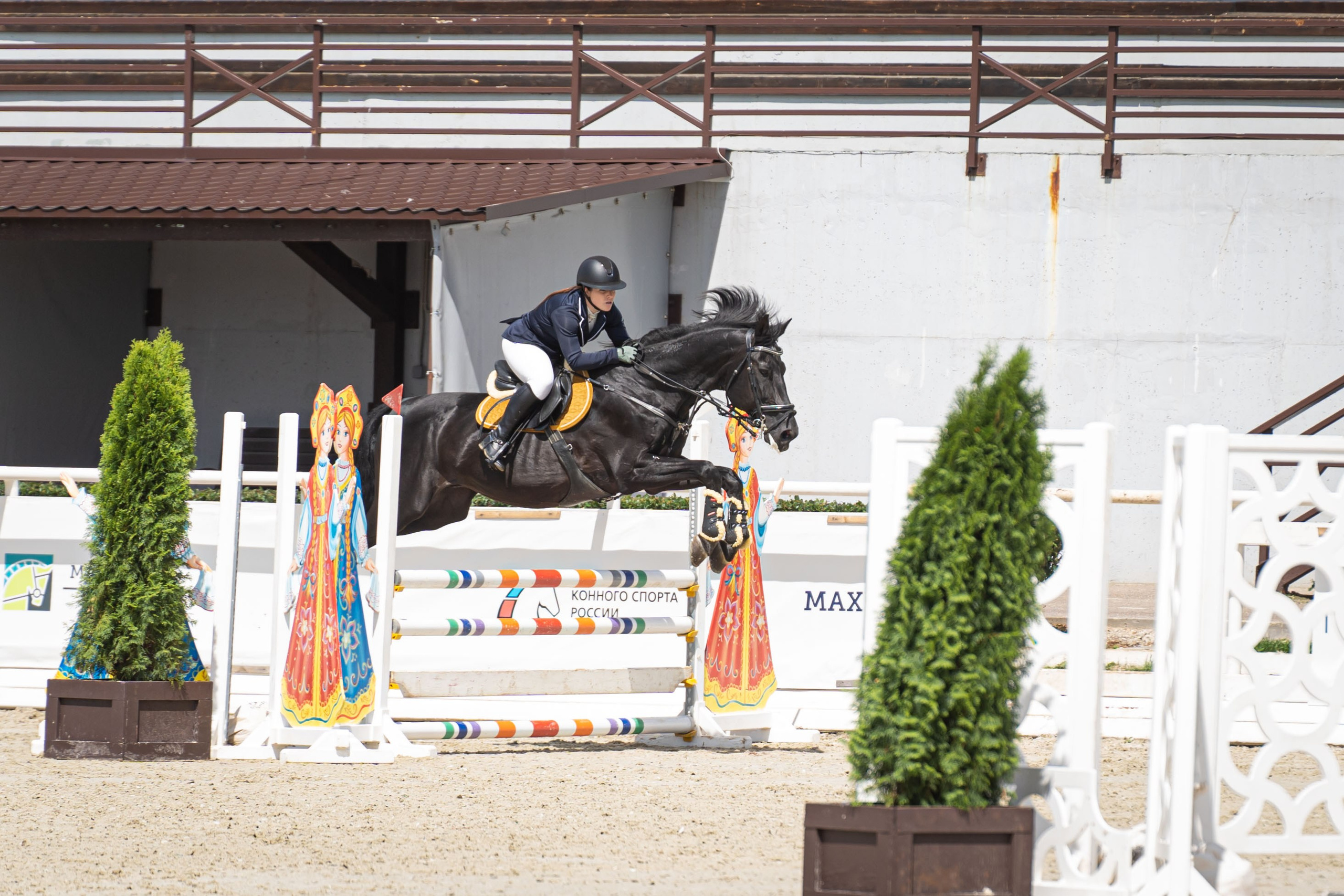 Конкур Maxima Park 22.06.2024. Фотограф в Москве Ленарская Дарья