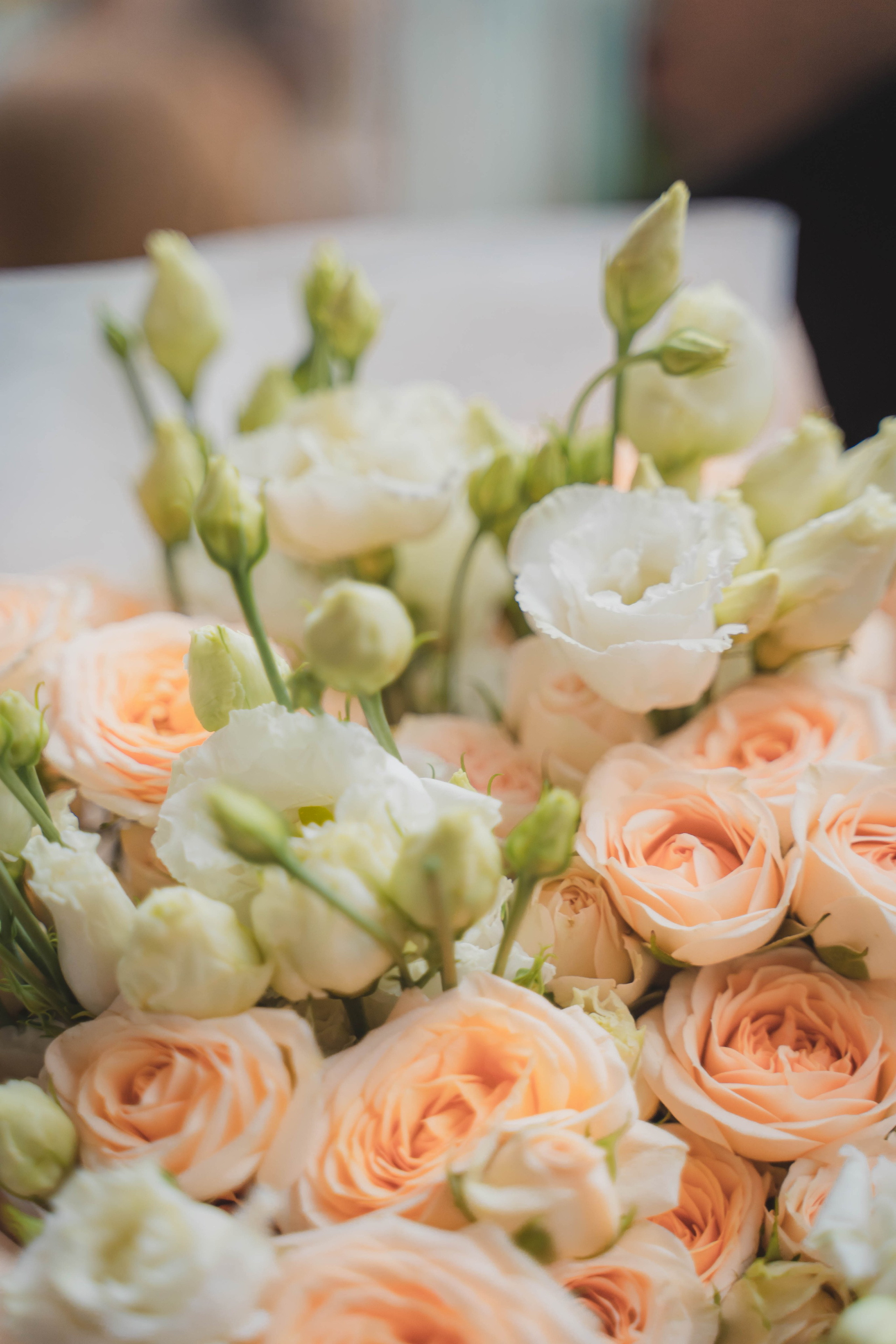 Вероника и Николай. Фотограф в Москве Ленарская Дарья