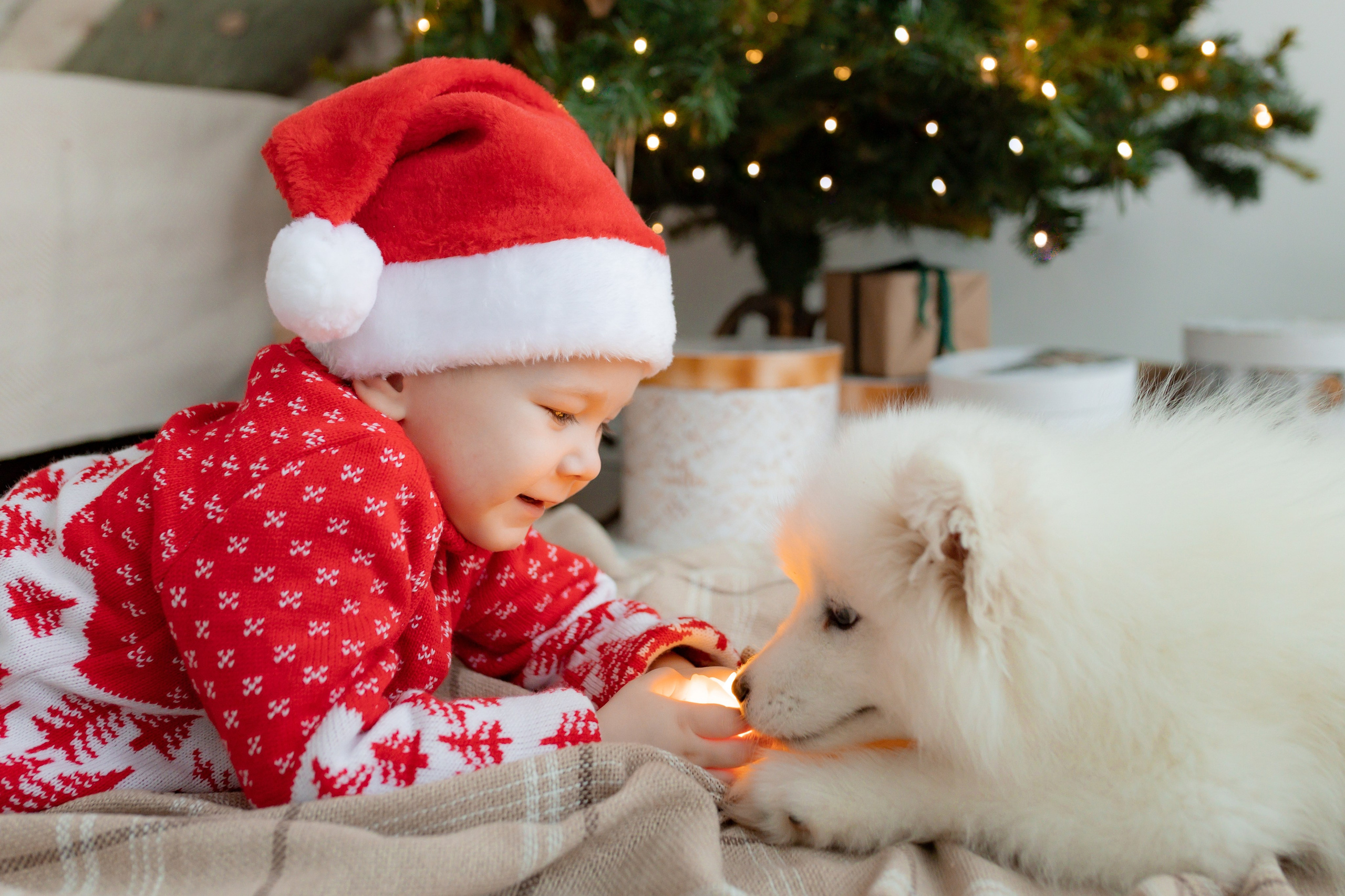 Новогодние съёмки. Интерьерная фотостудия в г. Барнаул