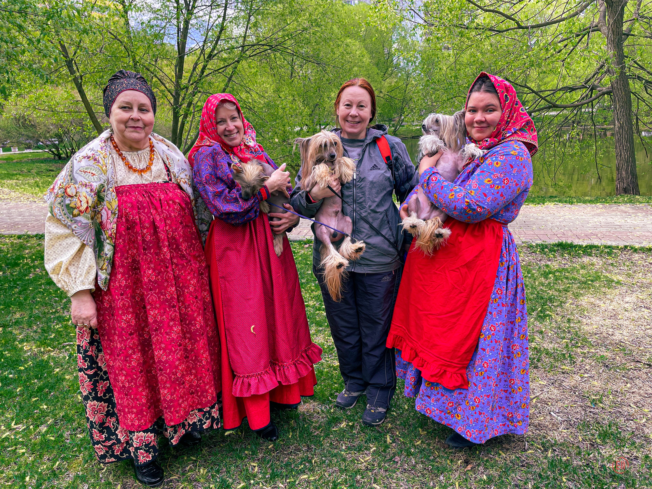 We were stopped on our walk!. Poale Ell Chinese Crested Dog Kennel: Buy a puppy from the kennel
