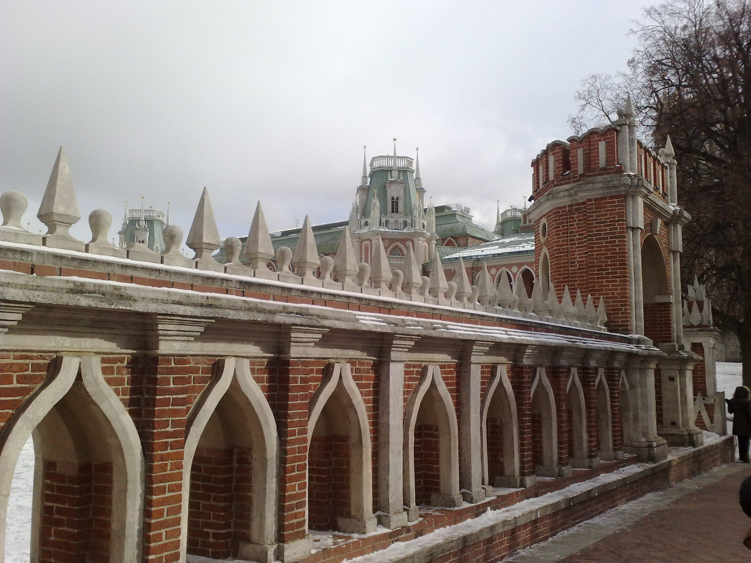 Царицино музей-усадьба. Питомник китайских хохлатых собак Poale Ell: купить щенка в питомнике