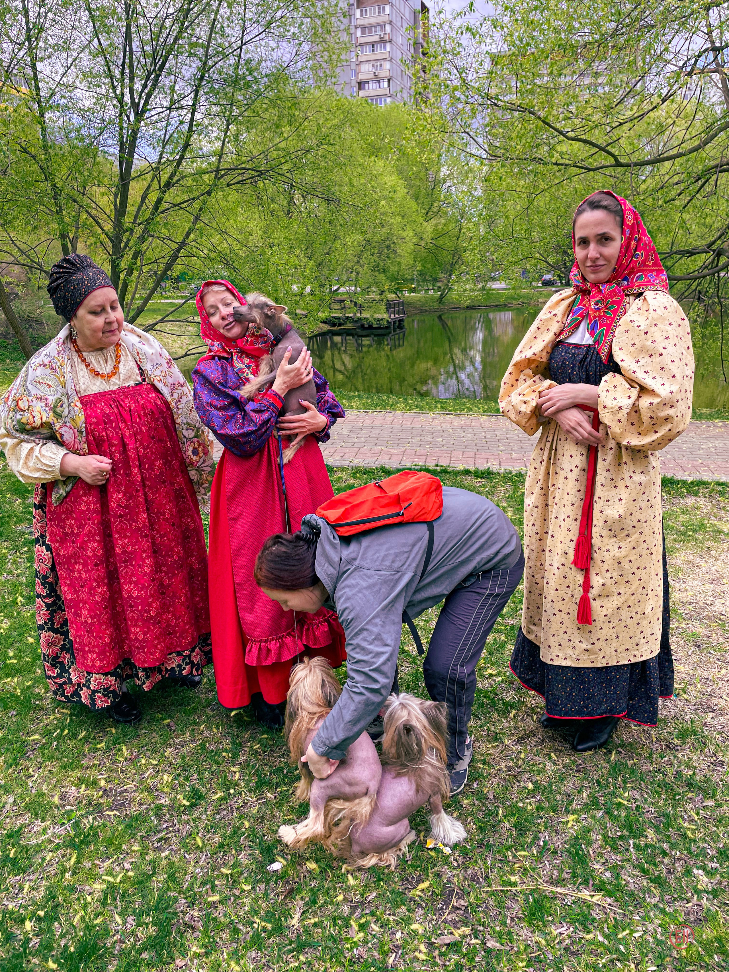 We were stopped on our walk!. Poale Ell Chinese Crested Dog Kennel: Buy a puppy from the kennel