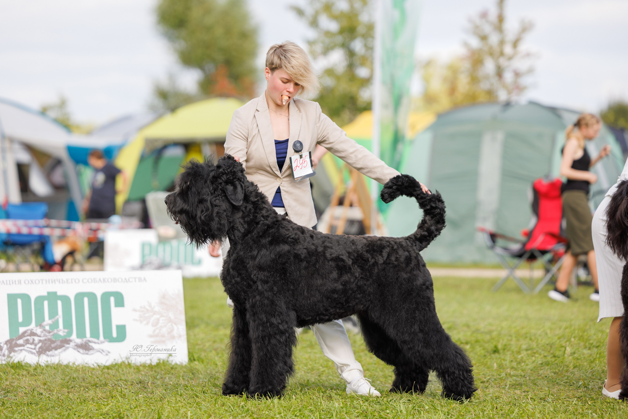 Переславль 5-7.08.2025. Фотограф-анималист Юлия Германика