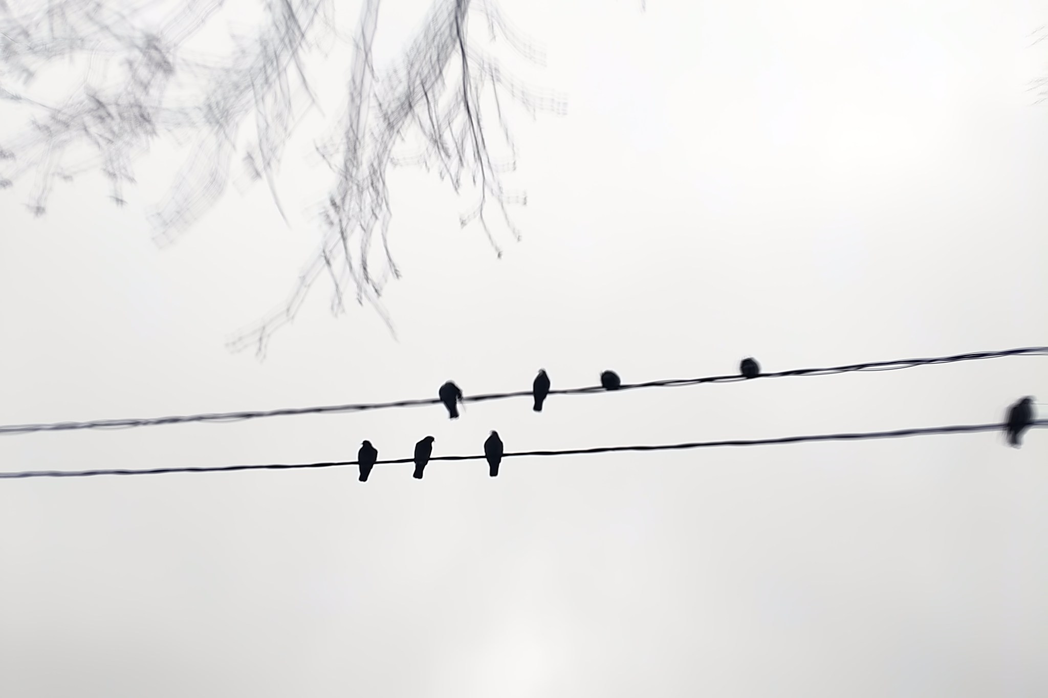 Мобильная фотография. Интерьерный и портретный фотограф в Москве Анна Моногарова