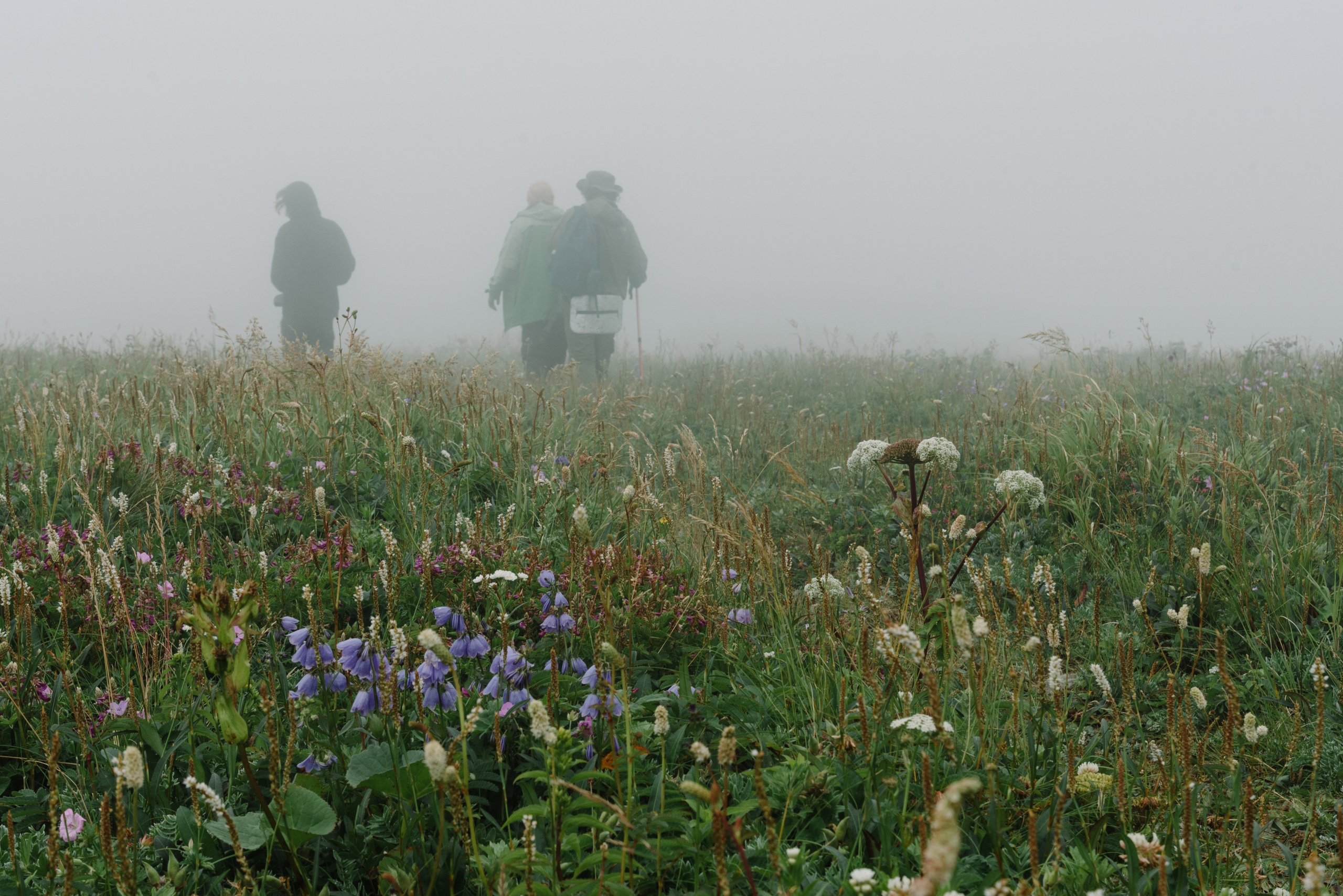Сахалин и Курильские острова. Фотограф Алиса Калинина