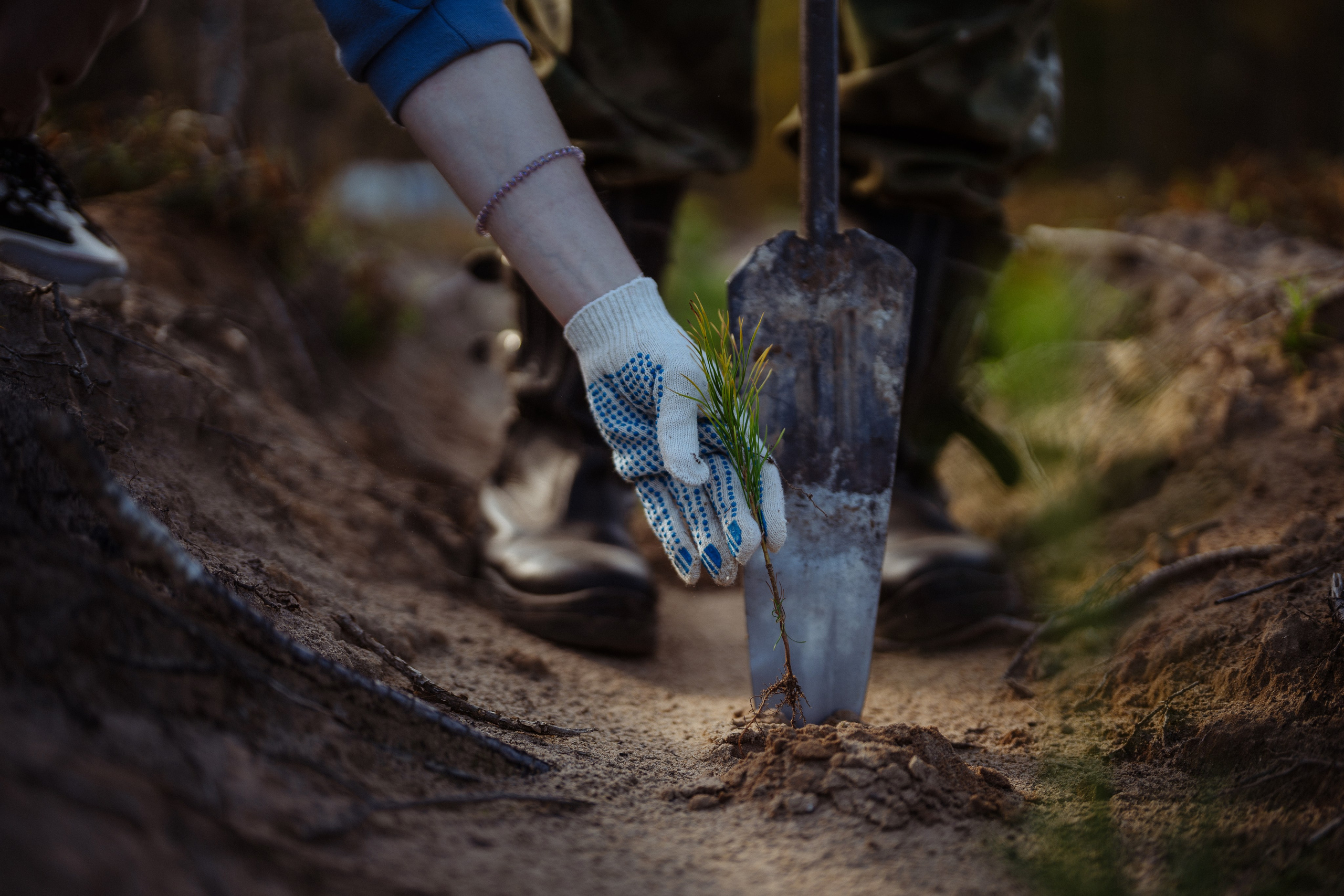 СБЕР · ЭКА · Посадка сеянцев. Владимир Вершинин, тот самый свадебный видеограф