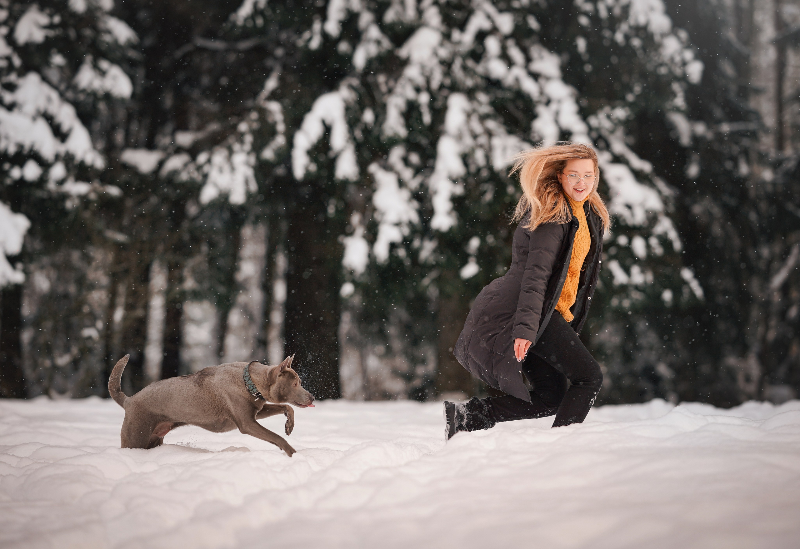 Даша Илья Вениамина и Мэдиссон. Фотограф-анималист в Санкт-Петербурге Яна Мартынова