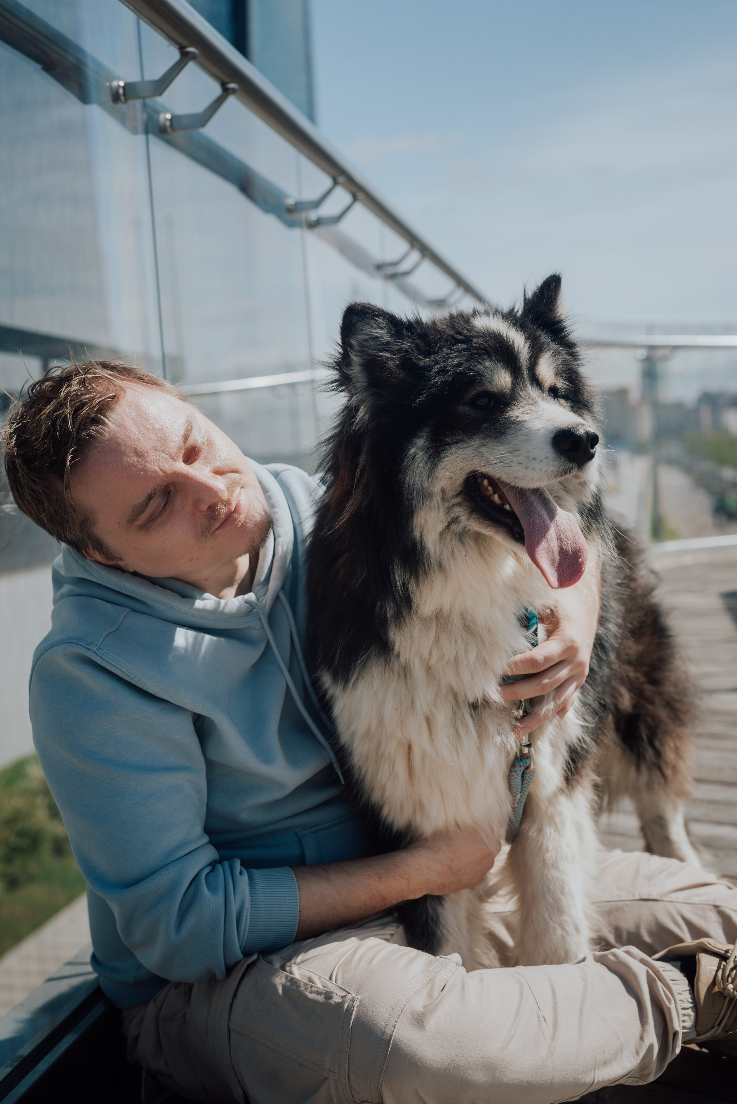 Фотодень с хаски. Фотограф в Санкт-Петербурге и Ленинградской области