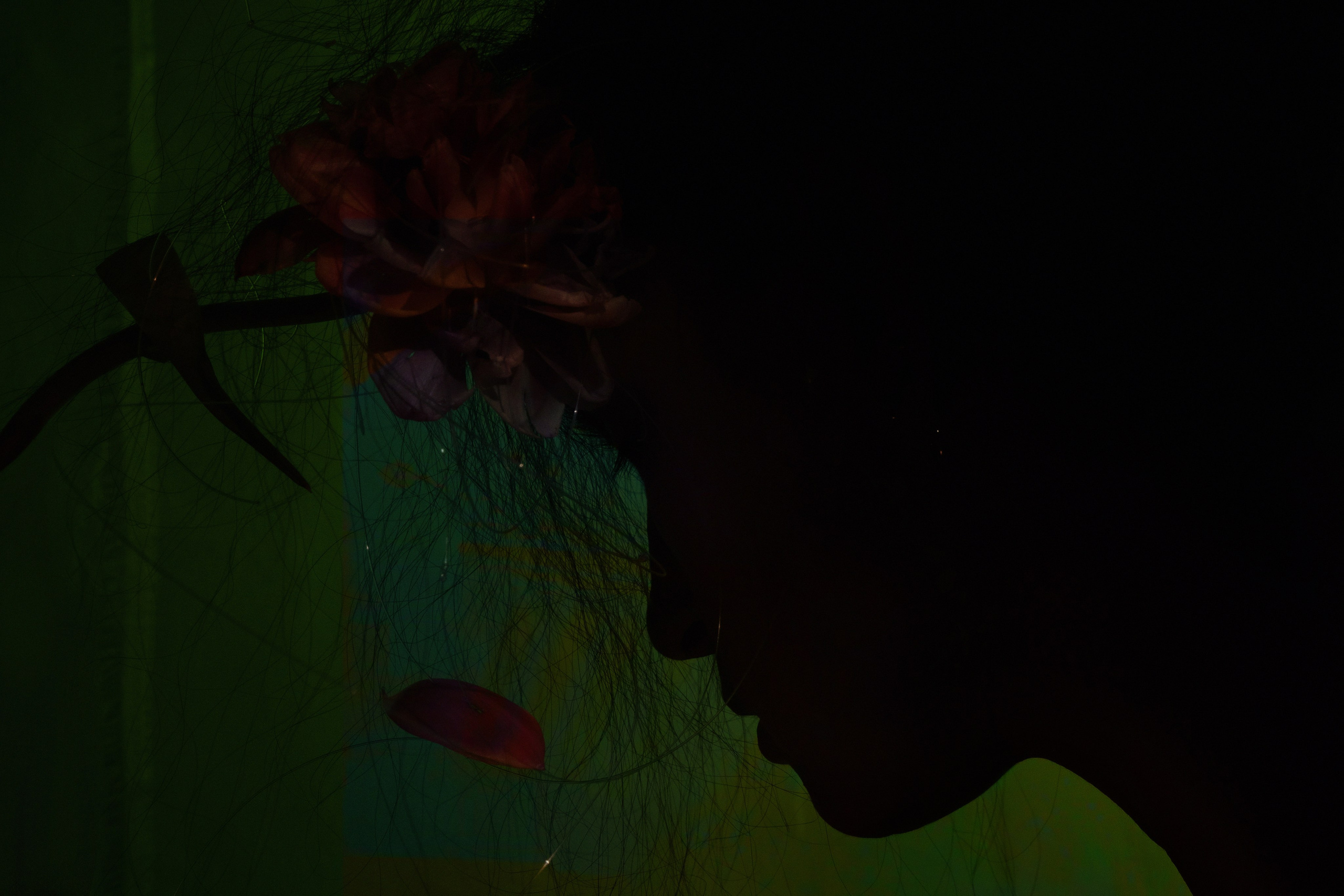 Тонкая белая полоска на воде. Художественная фотография в Санкт-Петербурге Алина Берёзкина