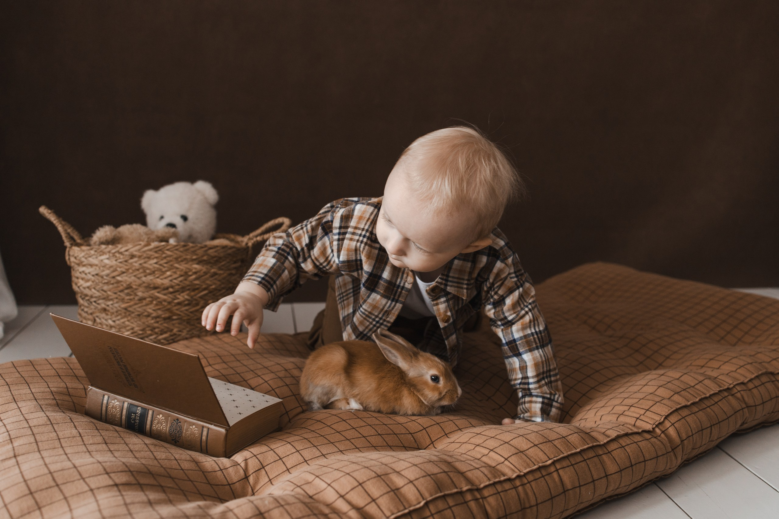 Серёже 2 года. Фотограф в Иркутске Тома Кабанова