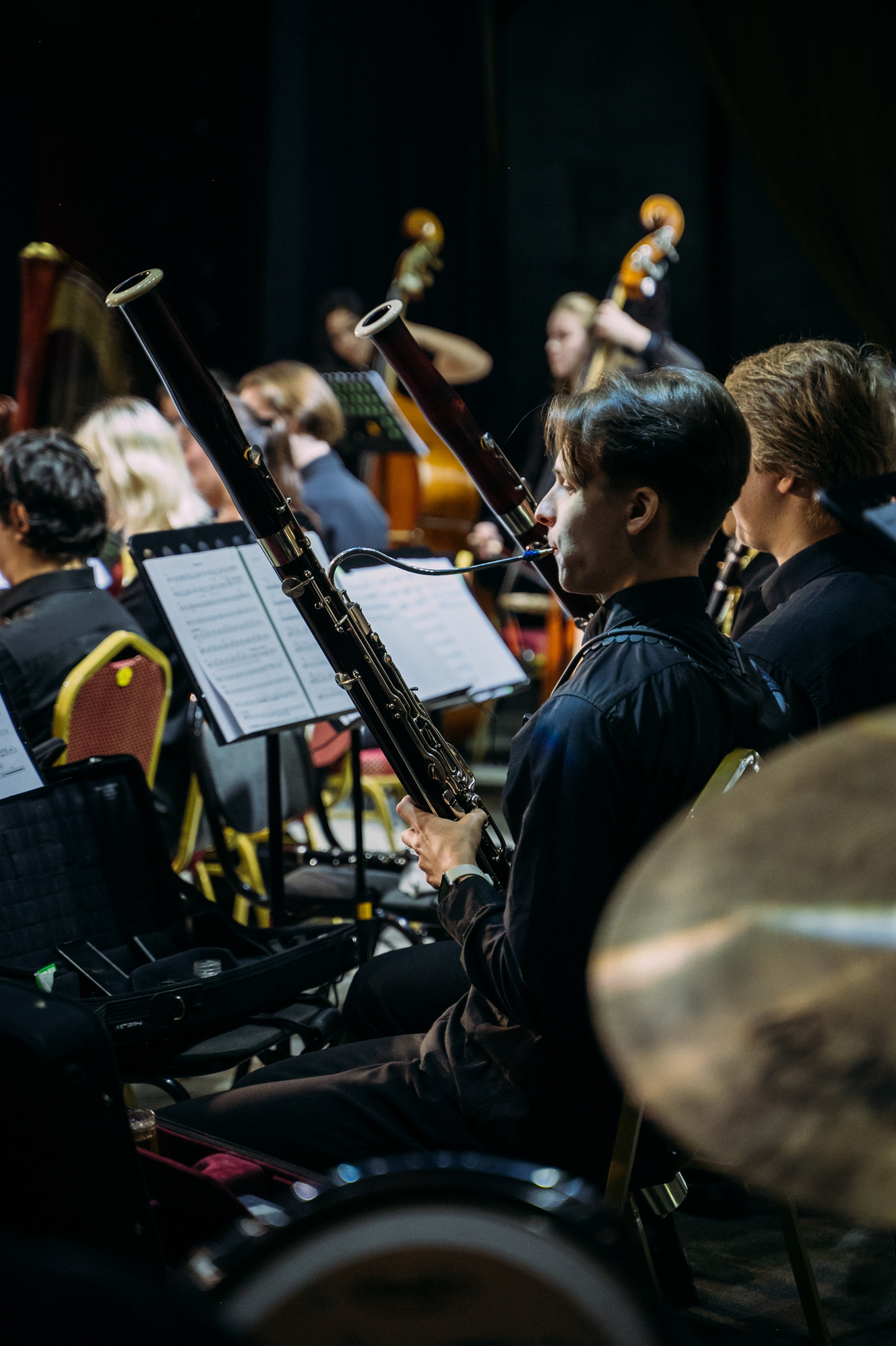 Симфонический оркестр. Фотограф в Волгограде Марина Черных