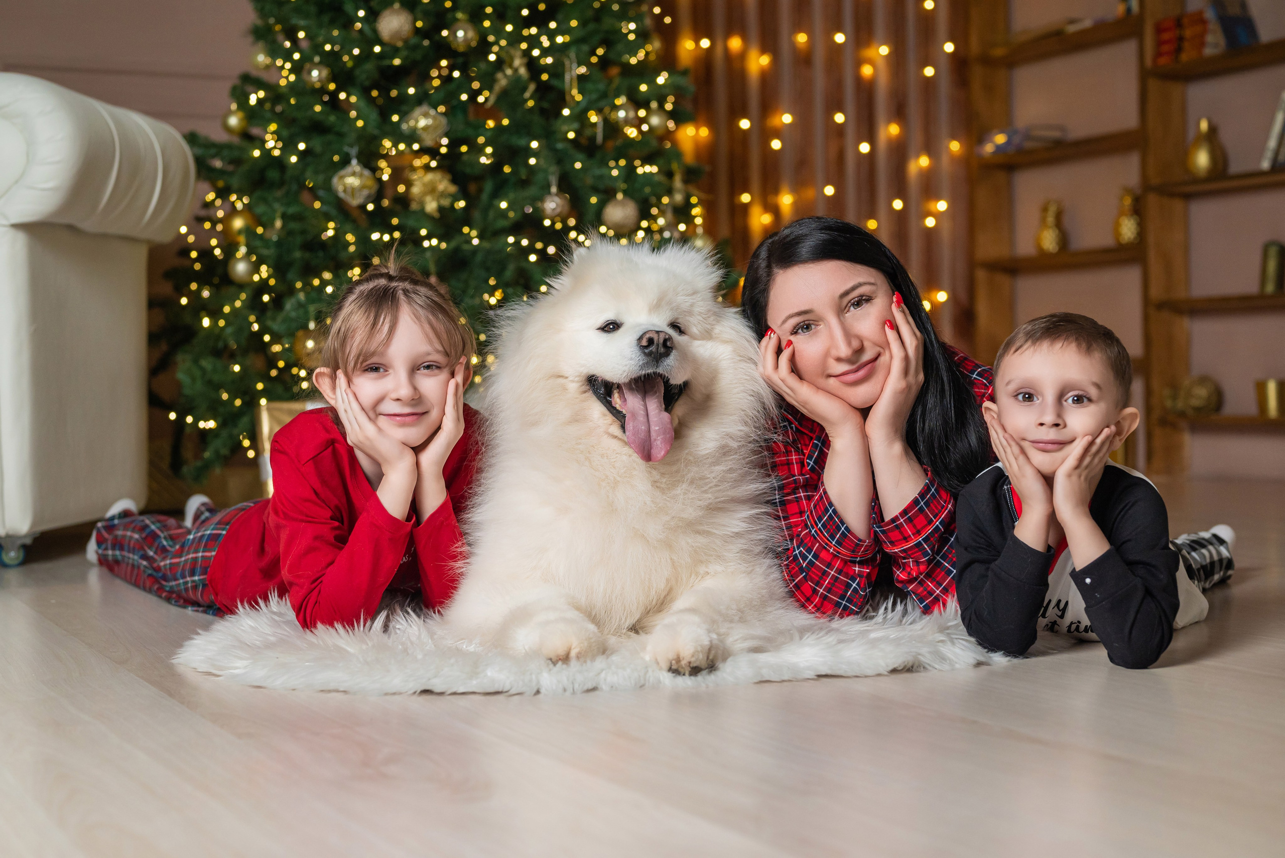 Фотопроект с самоедом 2023 г. Фотограф в городе Салават