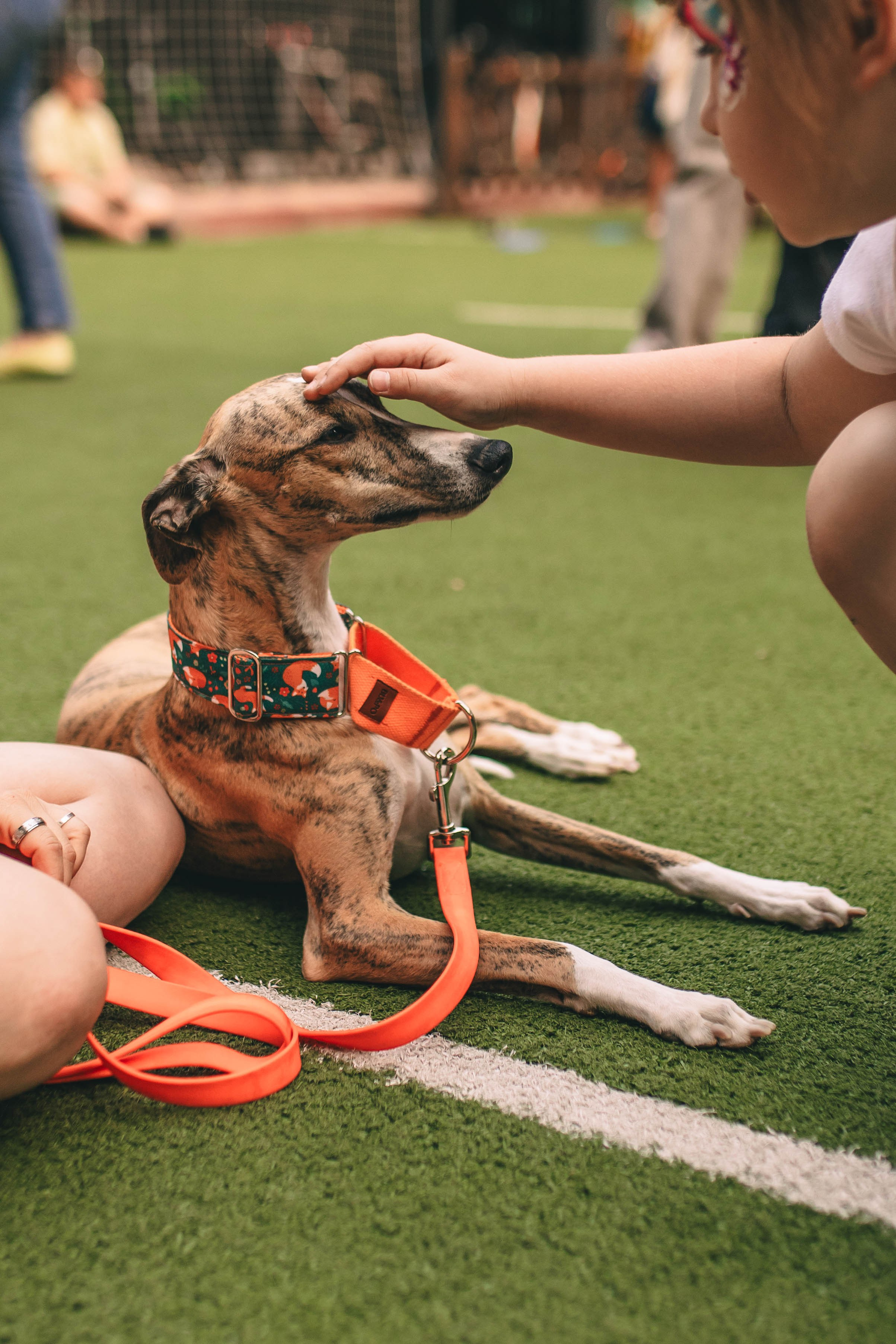 Pet-Party + Live-music |Парк Культуры. Фотограф в Ставрополе Алина Клочкова