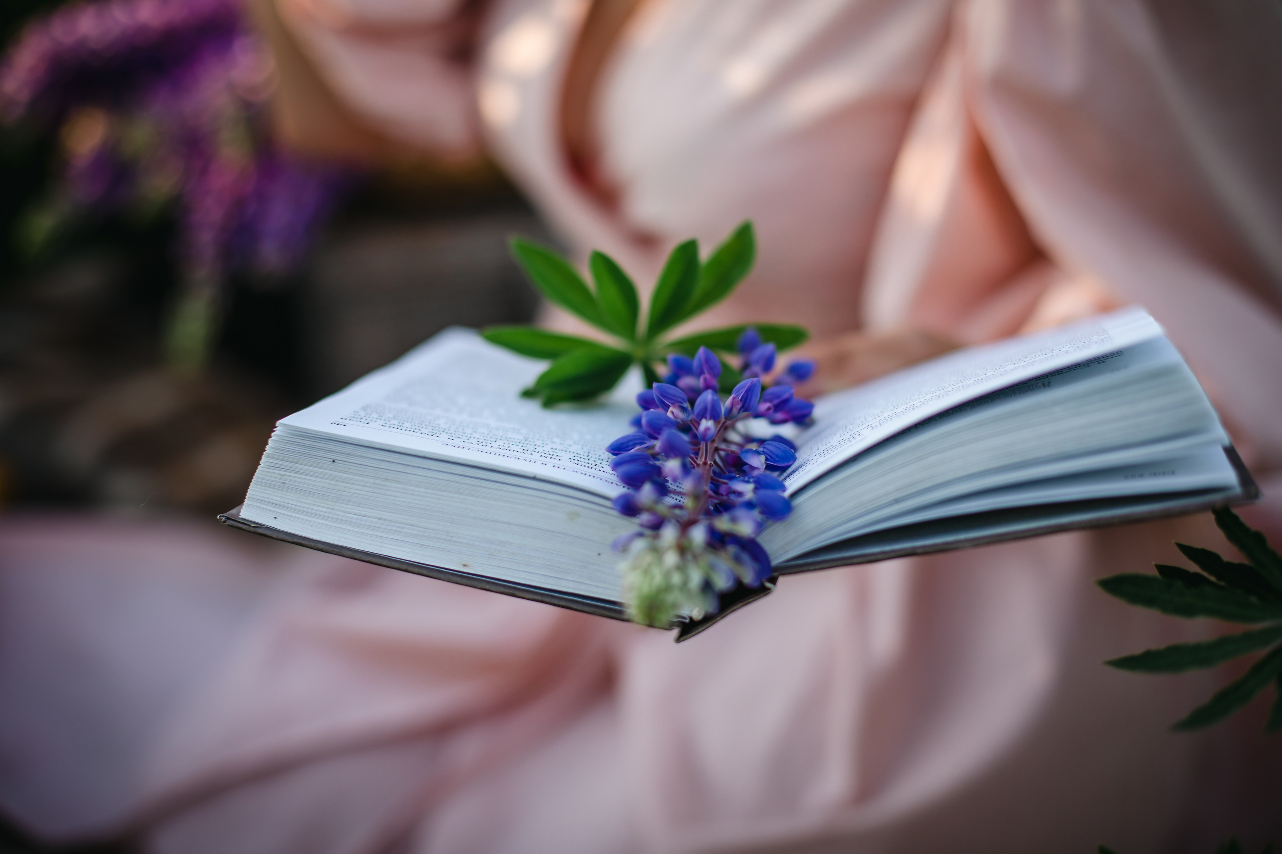 Люпины. Olga.filippova.photo