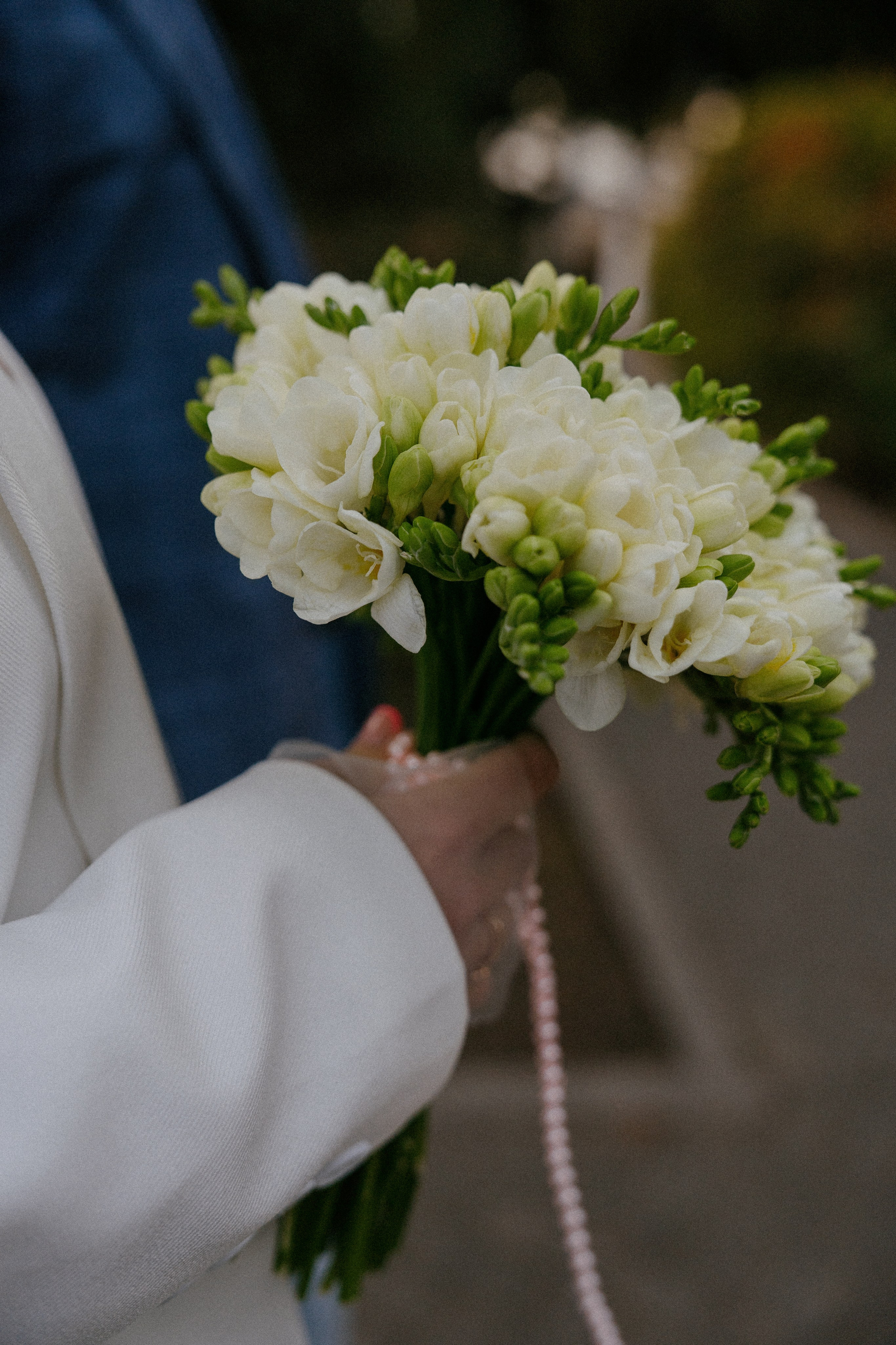 Пушистый свидетель