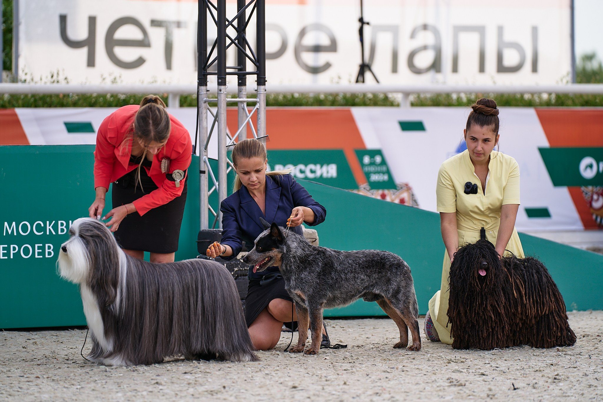 09.06.2024, «РОССИЯ. КУБОК МОСКВЫ 2024 & КУБОК ГОРОДОВ-ГЕРОЕВ»