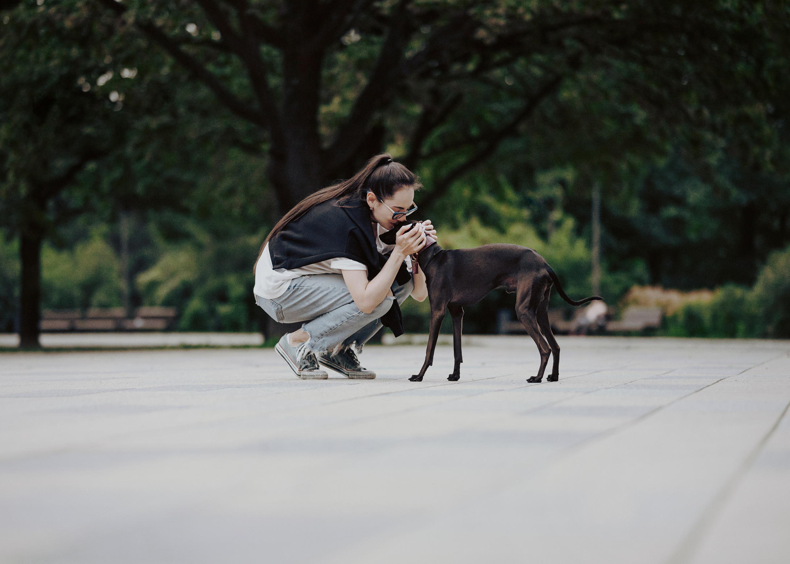 Дофи. Фотограф- анималист Александра Матвеева
