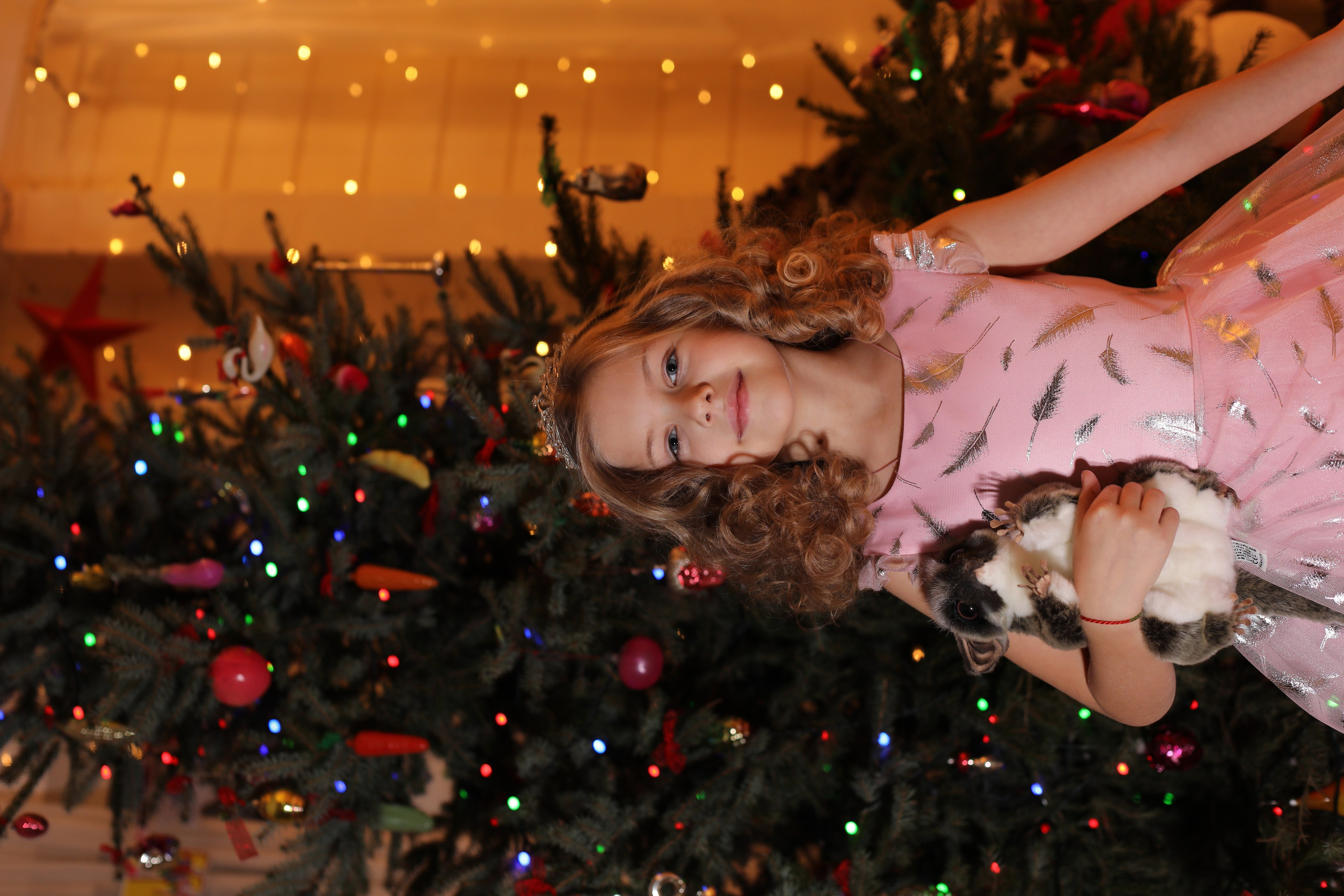 Сборник 1. Заставка