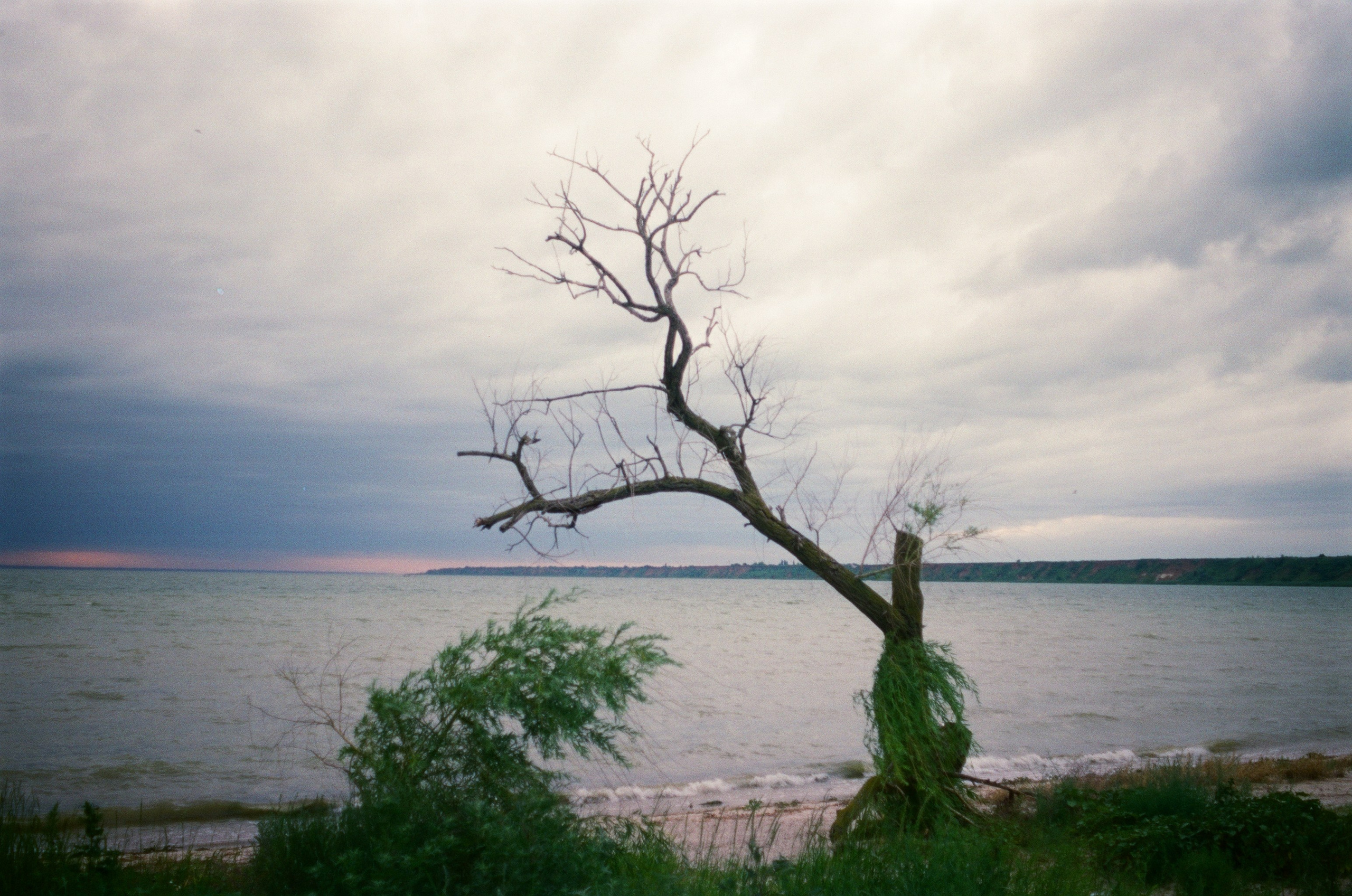 Аналоговая фотография. Снято на фотопленку. Творческие фотосессии в Москве