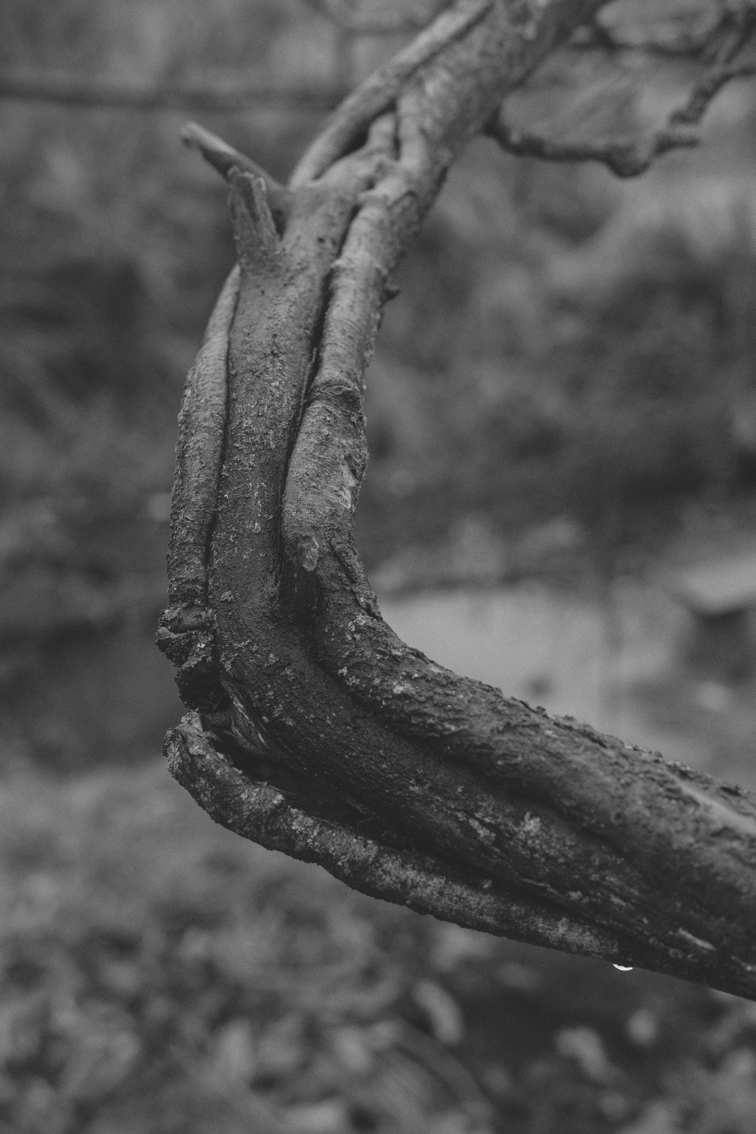 Жизнь сада. Works