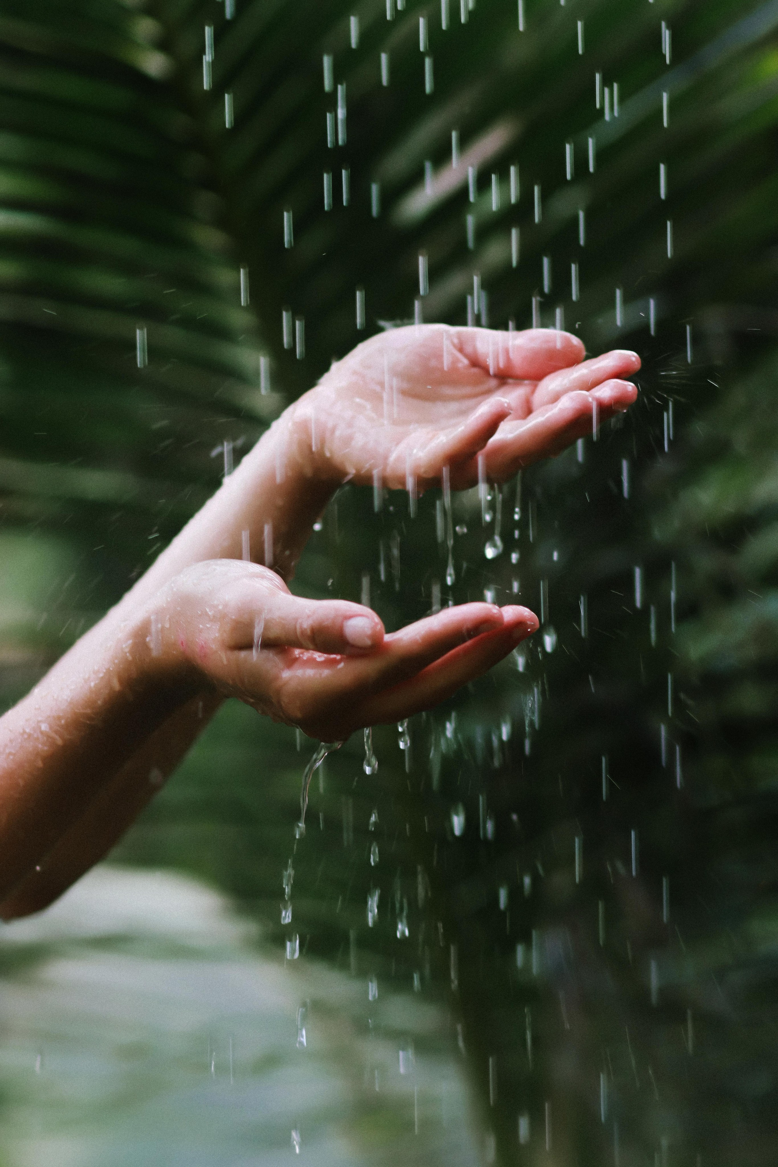 Массажист Дарина. Фотограф на Шри-Ланке