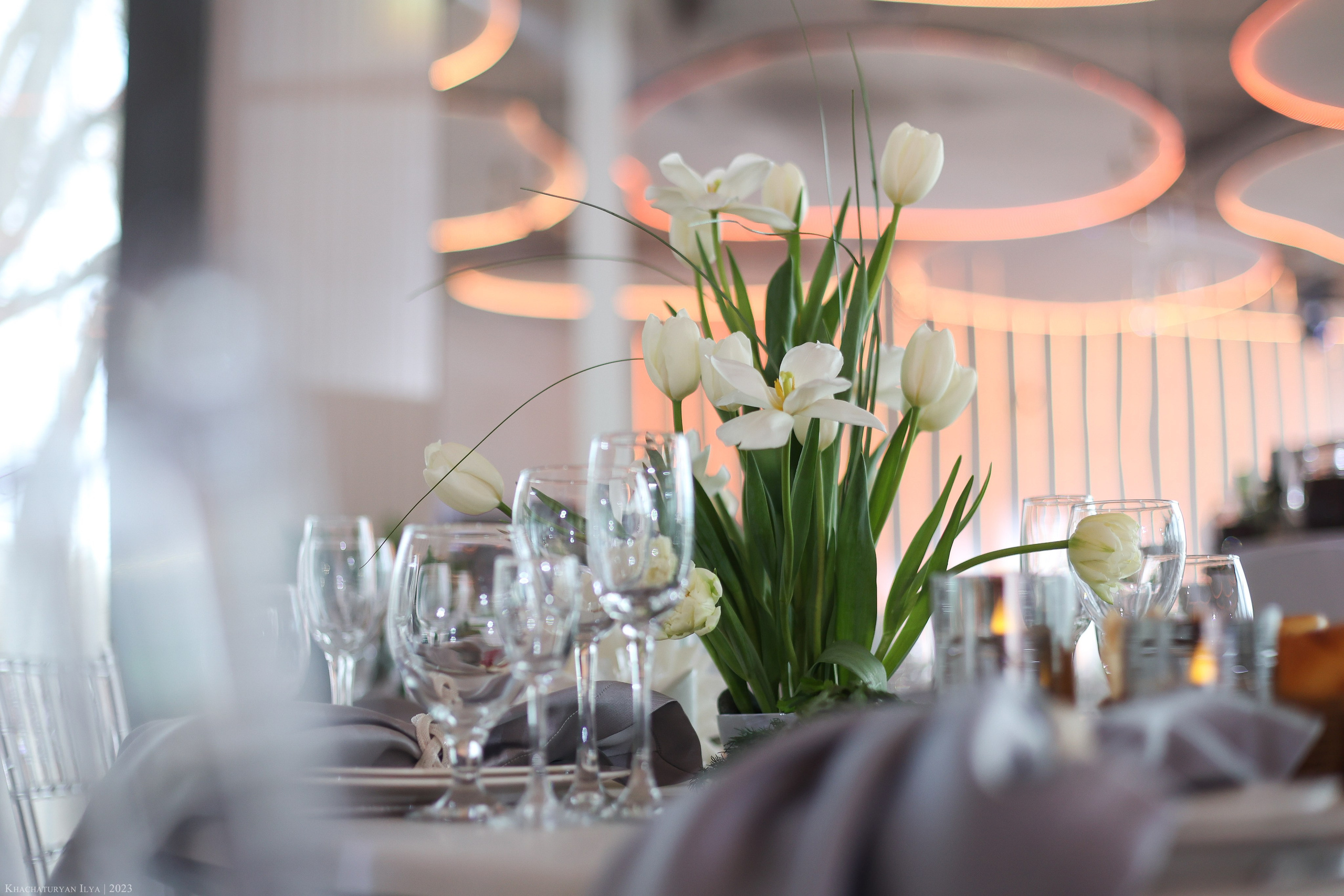 Vladimir & Zlata. Фотограф Илья Хачатурян