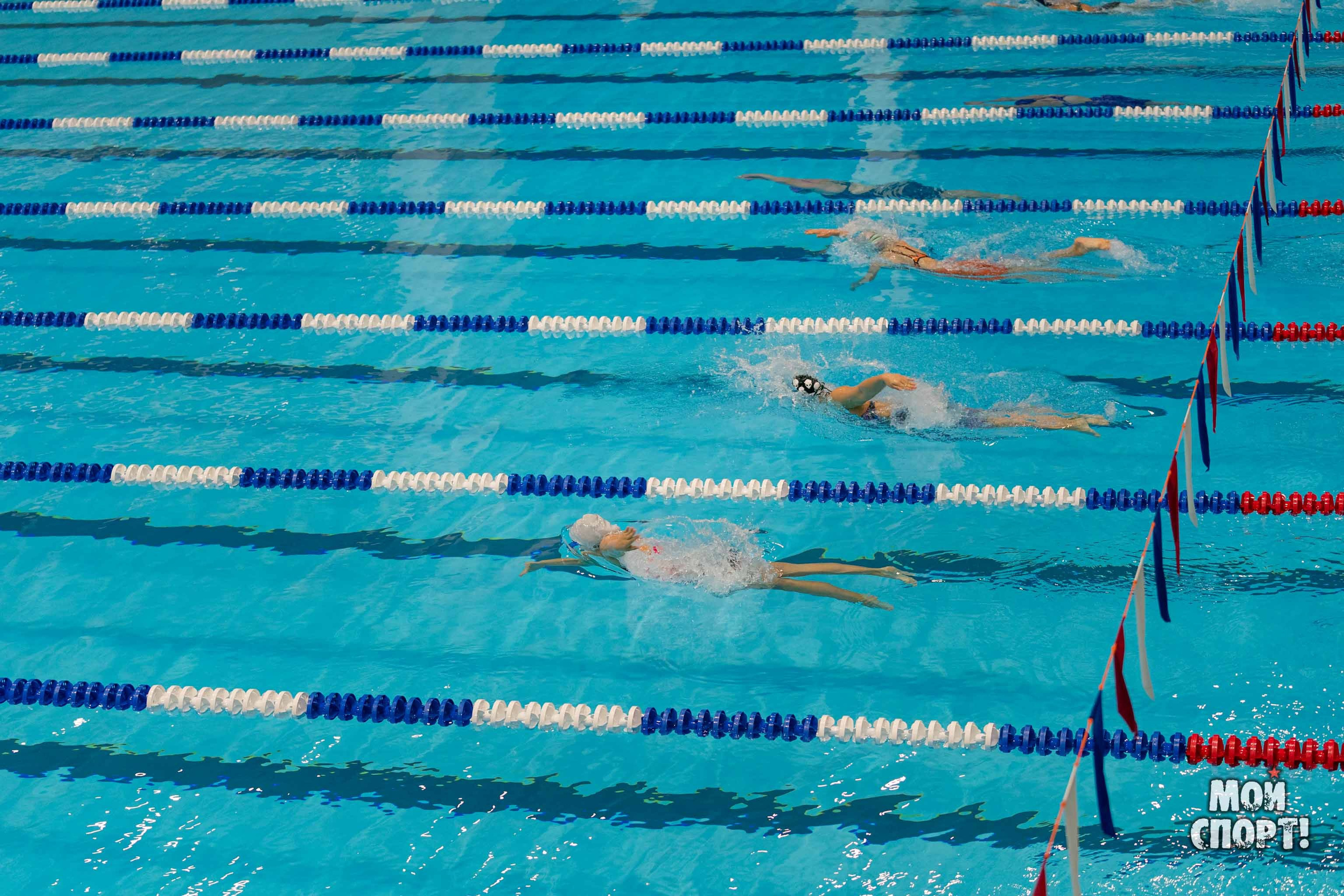 Соревнования по плаванию на призы Деда Мороза. Студия «Мой Спорт!» — все о спорте в Якутии